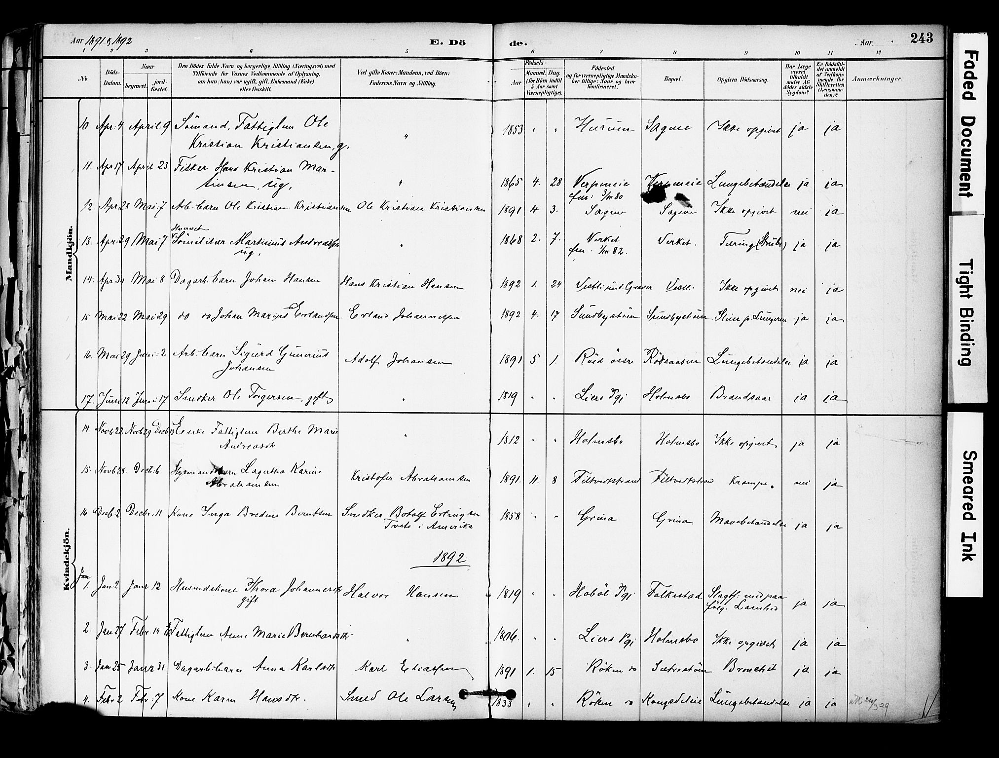 Hurum kirkebøker, AV/SAKO-A-229/F/Fa/L0014: Parish register (official) no. 14, 1882-1895, p. 243