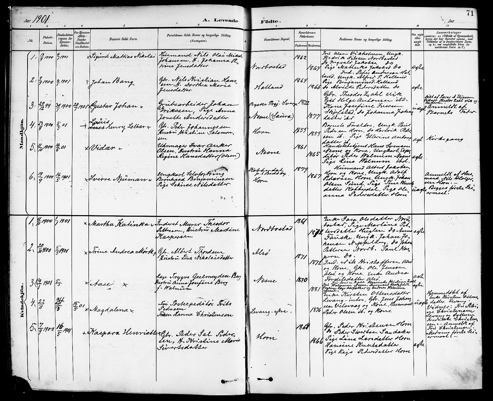 Ministerialprotokoller, klokkerbøker og fødselsregistre - Nordland, SAT/A-1459/838/L0559: Parish register (copy) no. 838C06, 1893-1910, p. 71