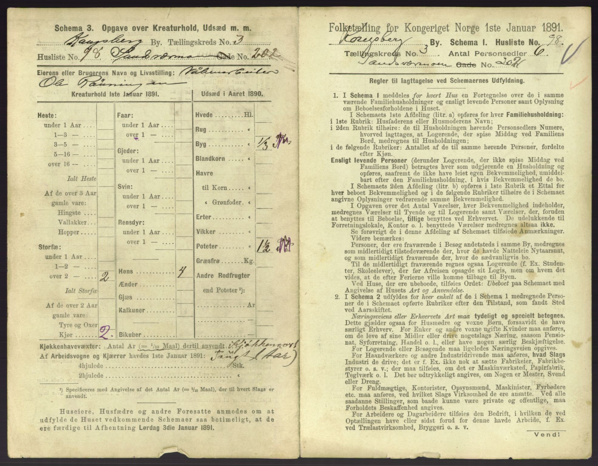 RA, 1891 census for 0604 Kongsberg, 1891, p. 549