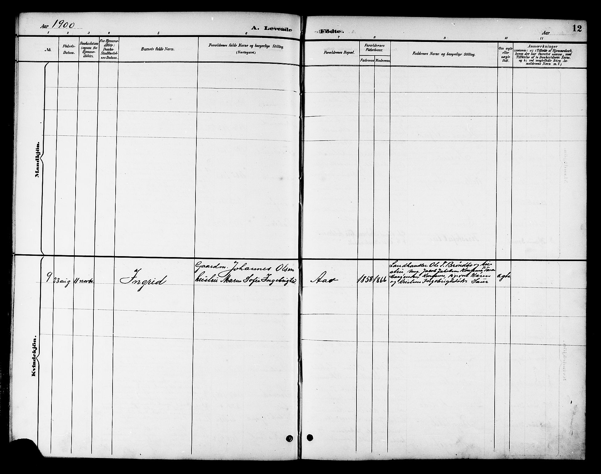 Ministerialprotokoller, klokkerbøker og fødselsregistre - Nord-Trøndelag, AV/SAT-A-1458/783/L0662: Parish register (copy) no. 783C02, 1894-1919, p. 12