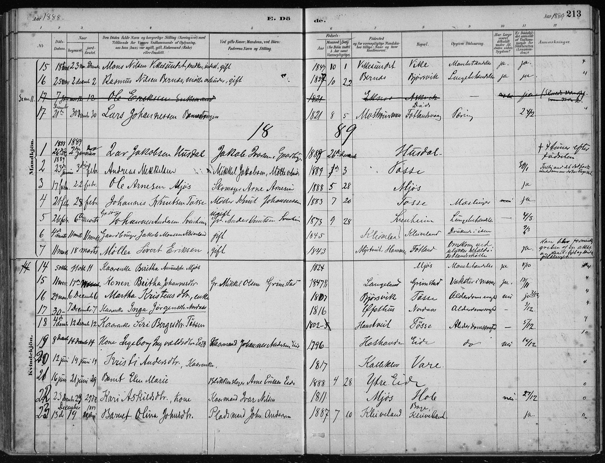 Hosanger sokneprestembete, AV/SAB-A-75801/H/Haa: Parish register (official) no. B  1, 1880-1896, p. 213