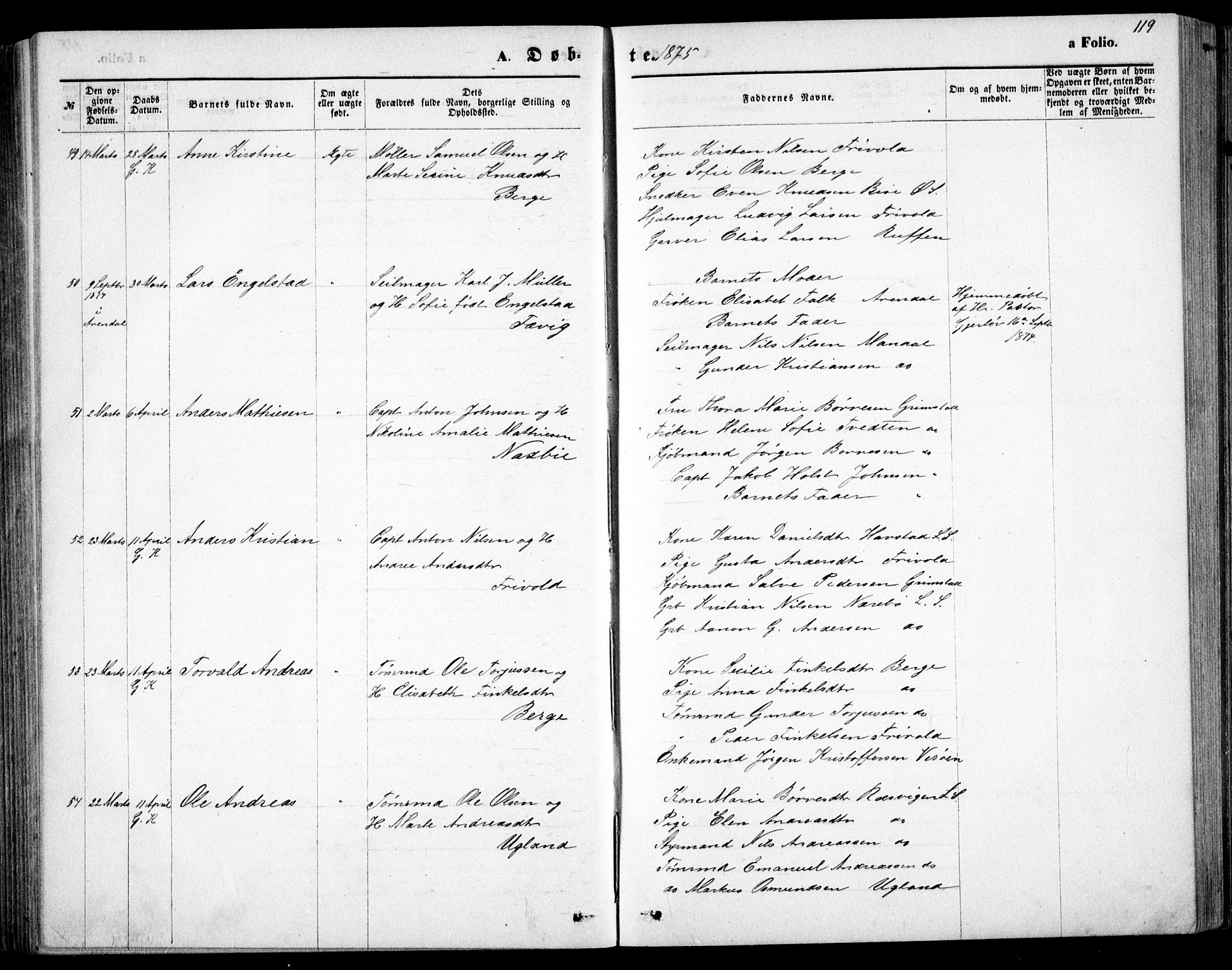 Fjære sokneprestkontor, AV/SAK-1111-0011/F/Fb/L0010: Parish register (copy) no. B 10, 1871-1880, p. 119