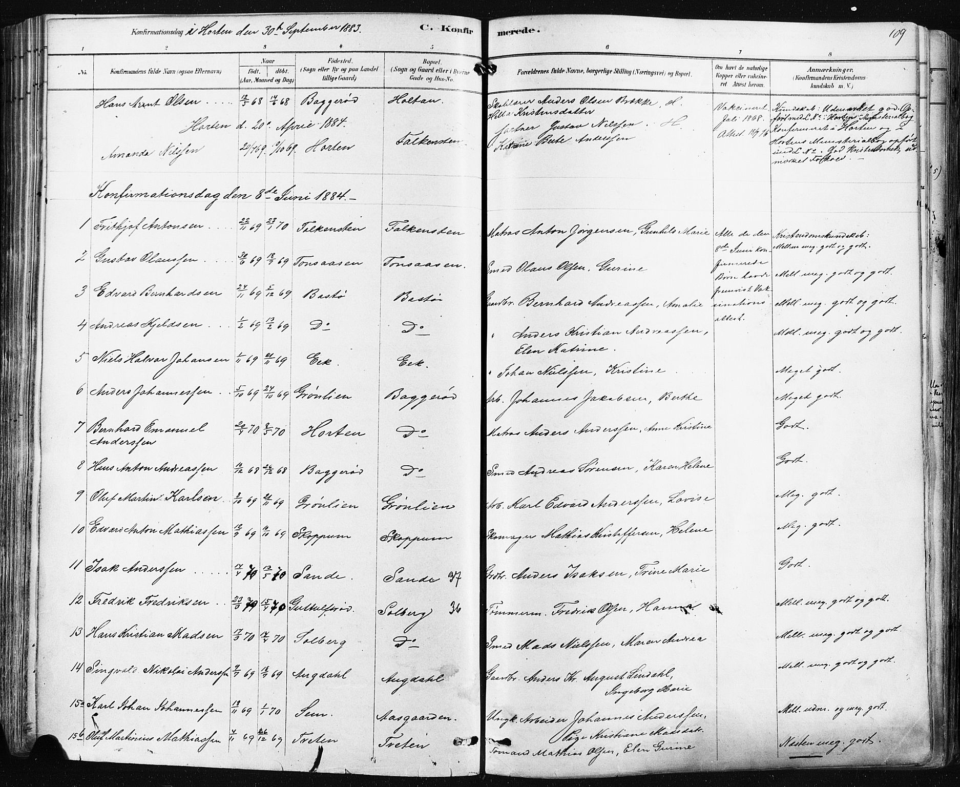 Borre kirkebøker, SAKO/A-338/F/Fa/L0009: Parish register (official) no. I 9, 1878-1896, p. 109