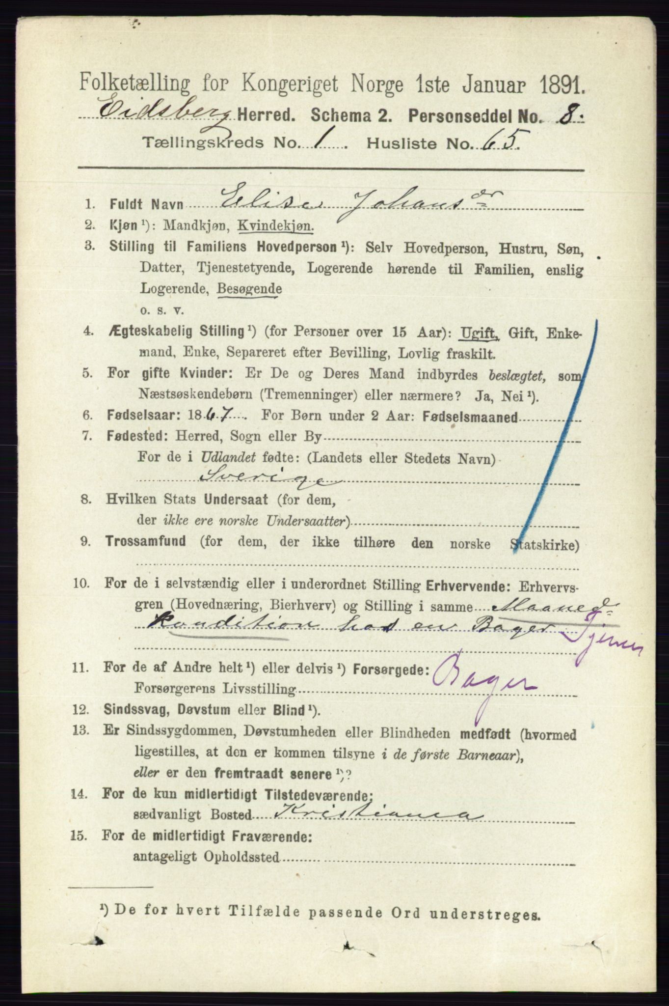 RA, 1891 census for 0125 Eidsberg, 1891, p. 551