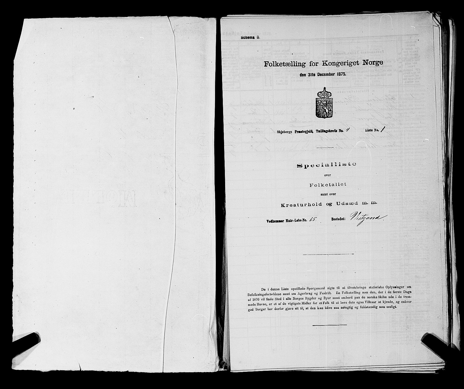 RA, 1875 census for 0115P Skjeberg, 1875, p. 711