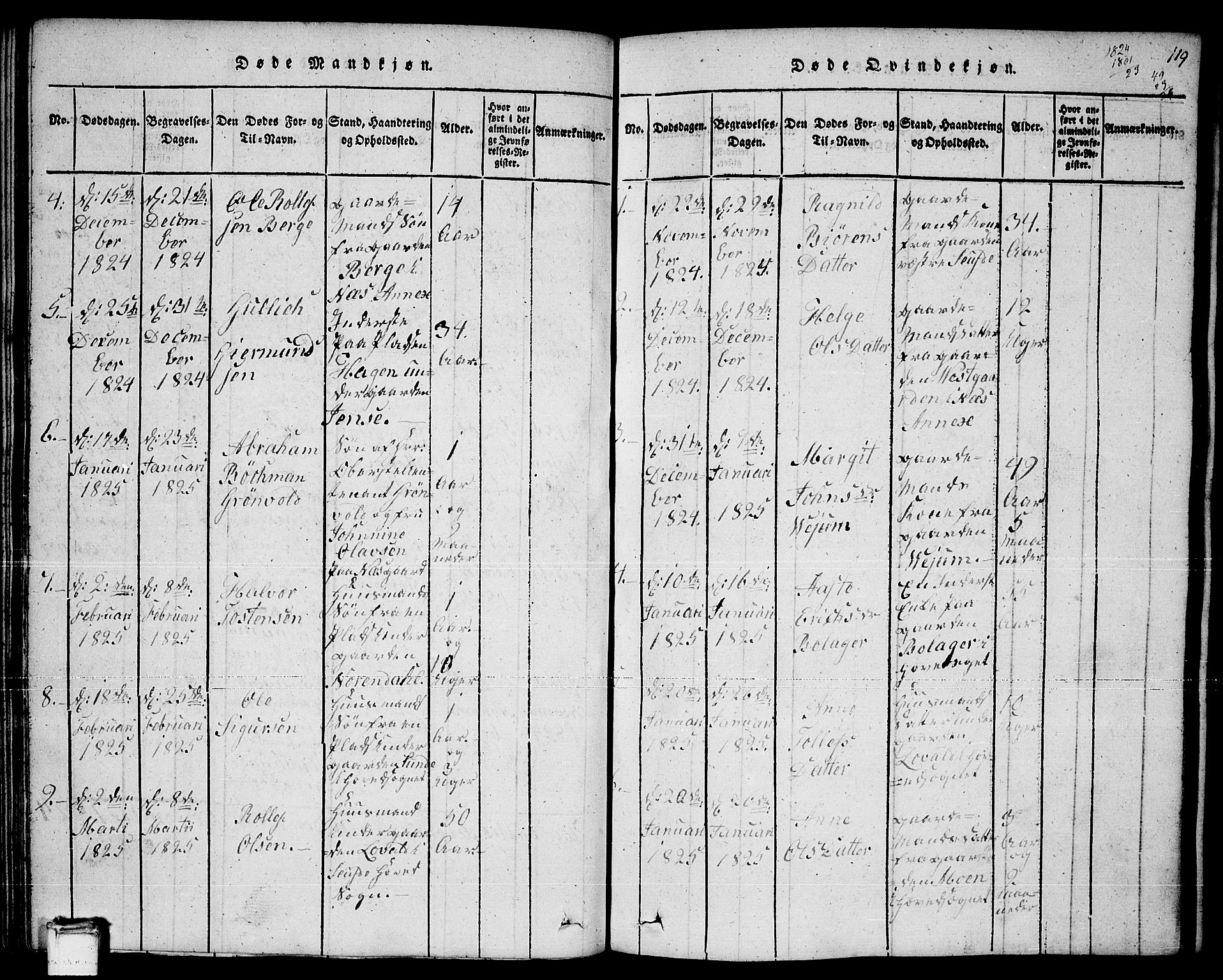 Sauherad kirkebøker, AV/SAKO-A-298/F/Fa/L0005: Parish register (official) no. I 5, 1815-1829, p. 119