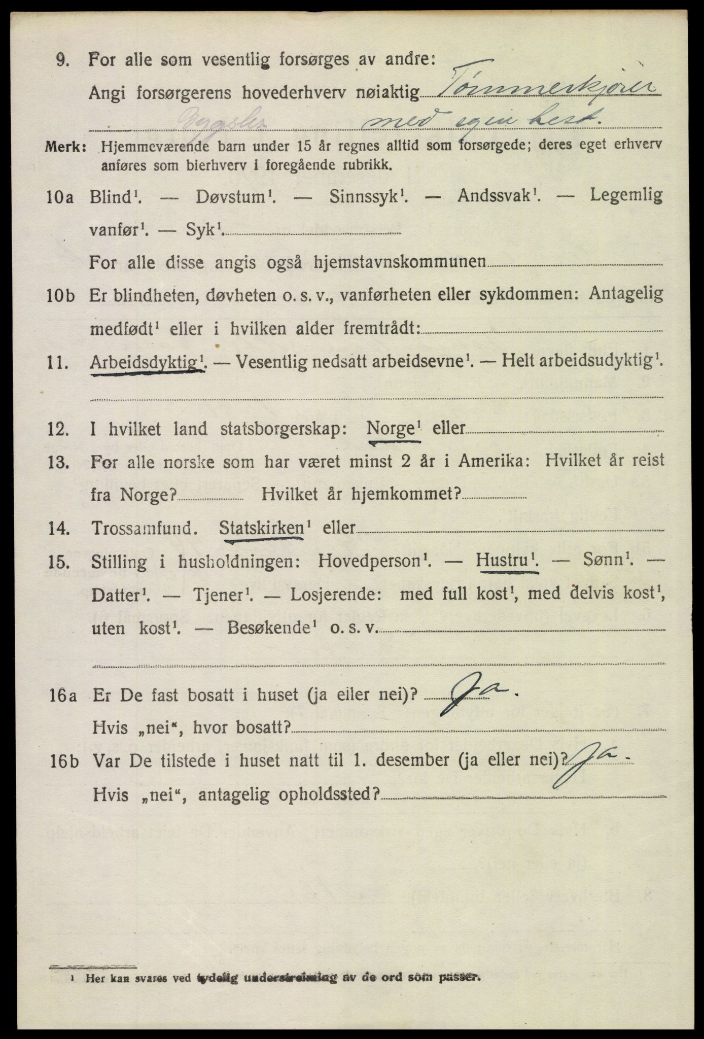 SAH, 1920 census for Engerdal, 1920, p. 2930