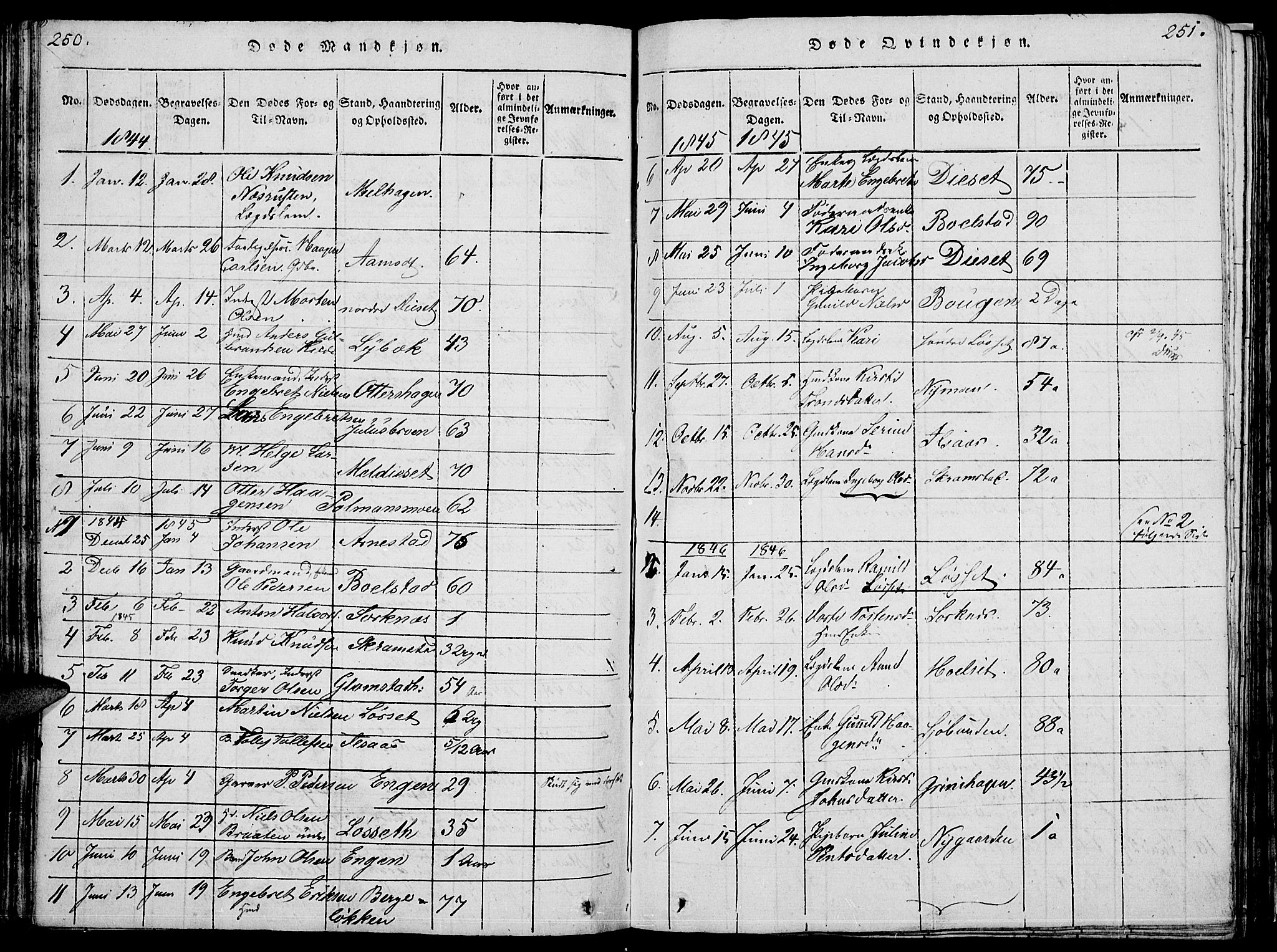 Åmot prestekontor, Hedmark, SAH/PREST-056/H/Ha/Hab/L0001: Parish register (copy) no. 1, 1815-1847, p. 250-251