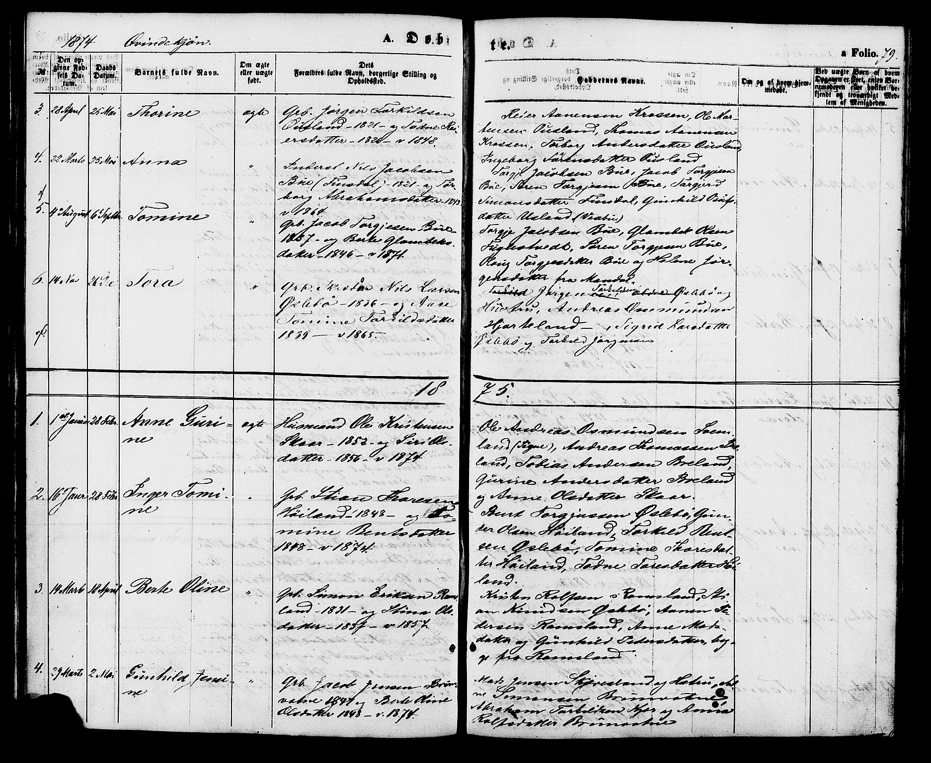 Holum sokneprestkontor, SAK/1111-0022/F/Fa/Fac/L0003: Parish register (official) no. A 3, 1860-1883, p. 79