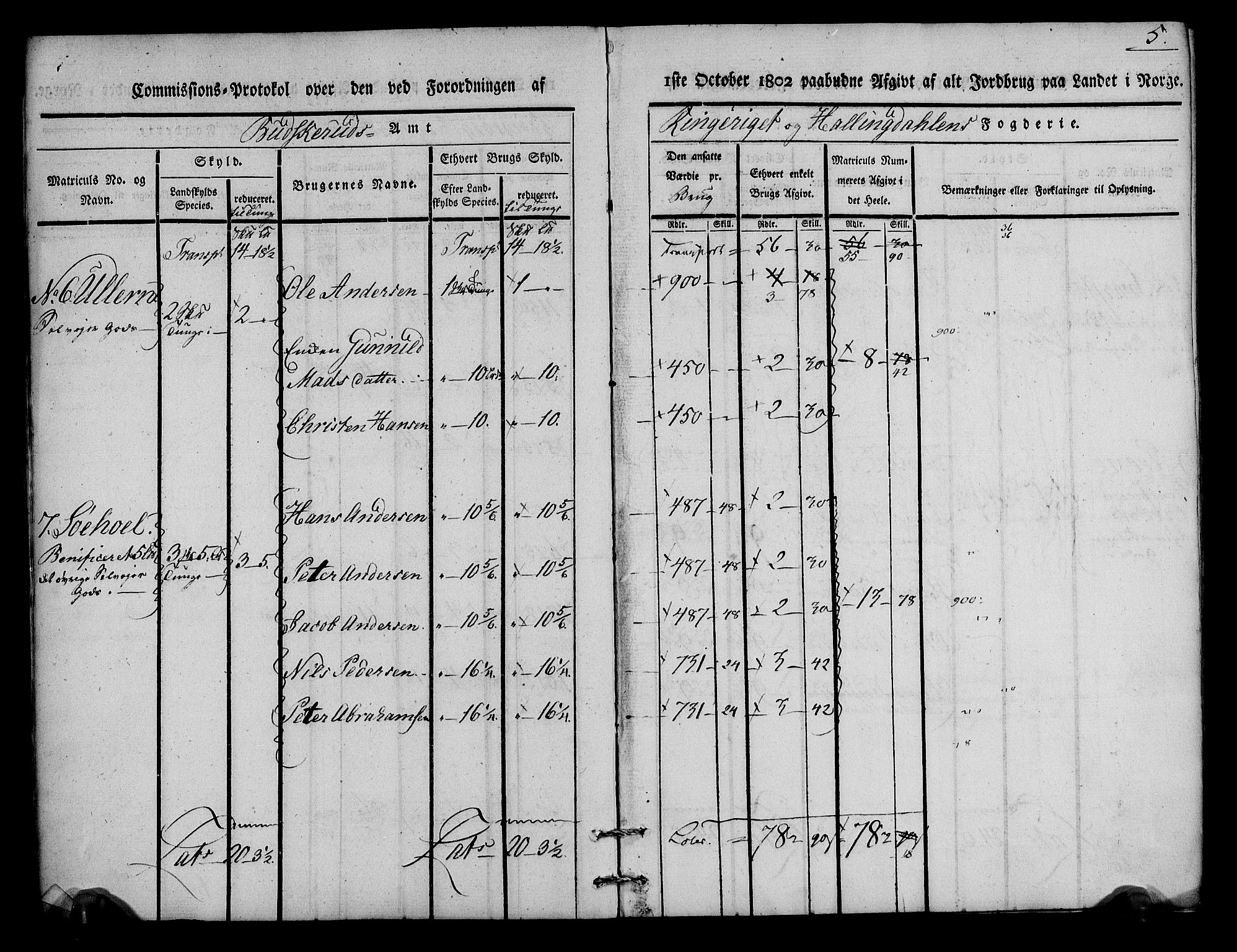 Rentekammeret inntil 1814, Realistisk ordnet avdeling, AV/RA-EA-4070/N/Ne/Nea/L0046: Ringerike og Hallingdal fogderi. Kommisjonsprotokoll for Hole prestegjeld, 1803, p. 6