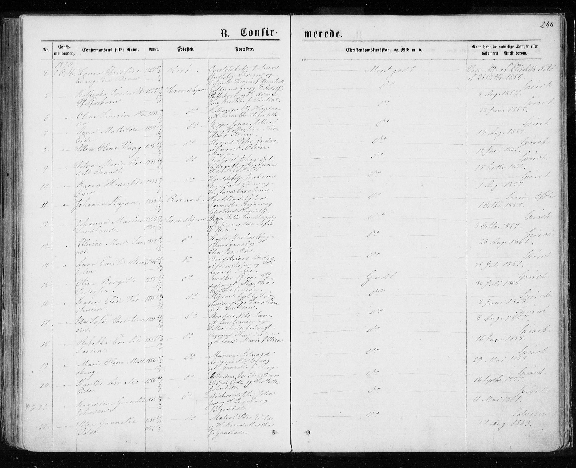 Ministerialprotokoller, klokkerbøker og fødselsregistre - Sør-Trøndelag, SAT/A-1456/601/L0054: Parish register (official) no. 601A22, 1866-1877, p. 244