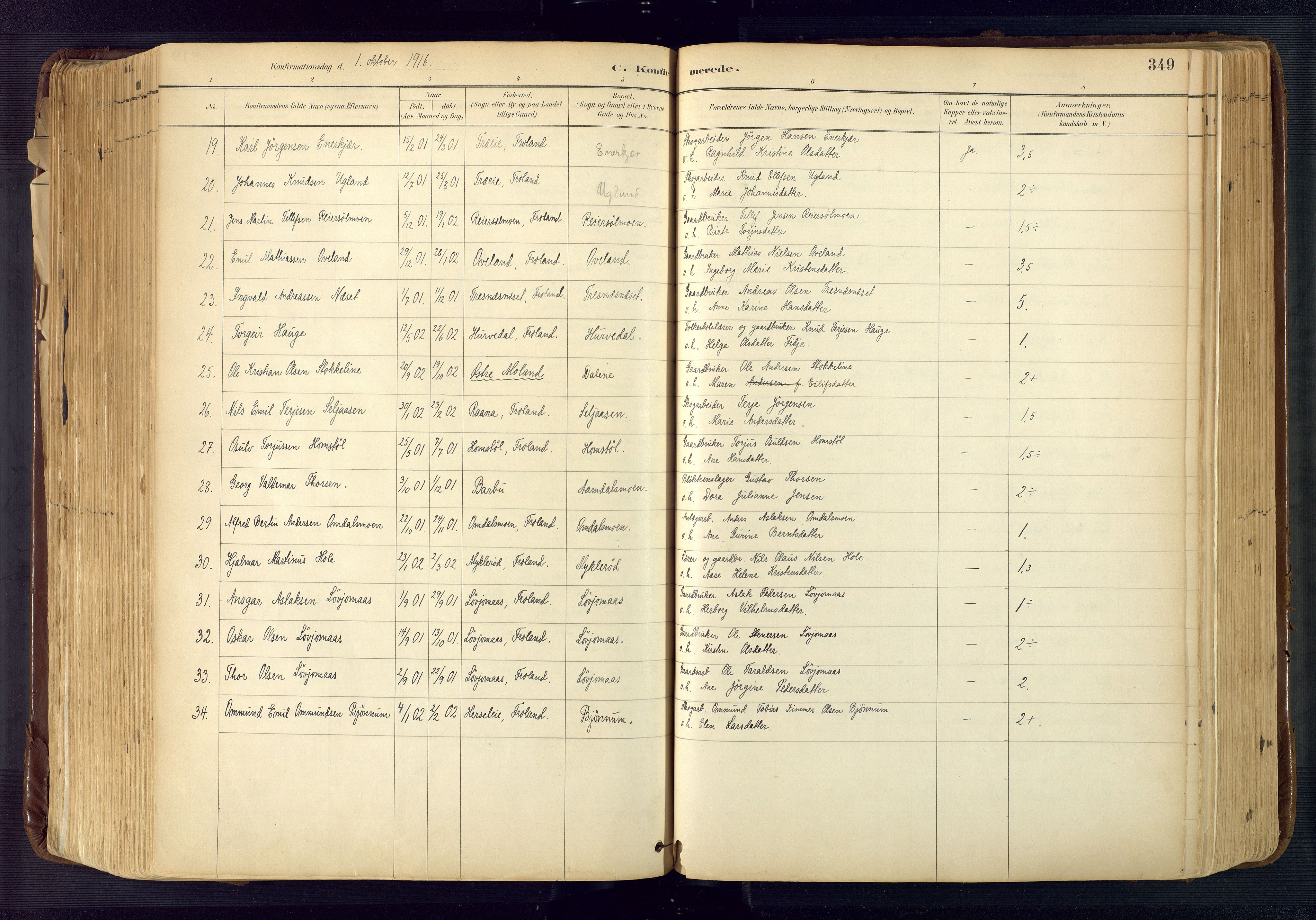 Froland sokneprestkontor, AV/SAK-1111-0013/F/Fa/L0005: Parish register (official) no. A 5, 1882-1921, p. 349