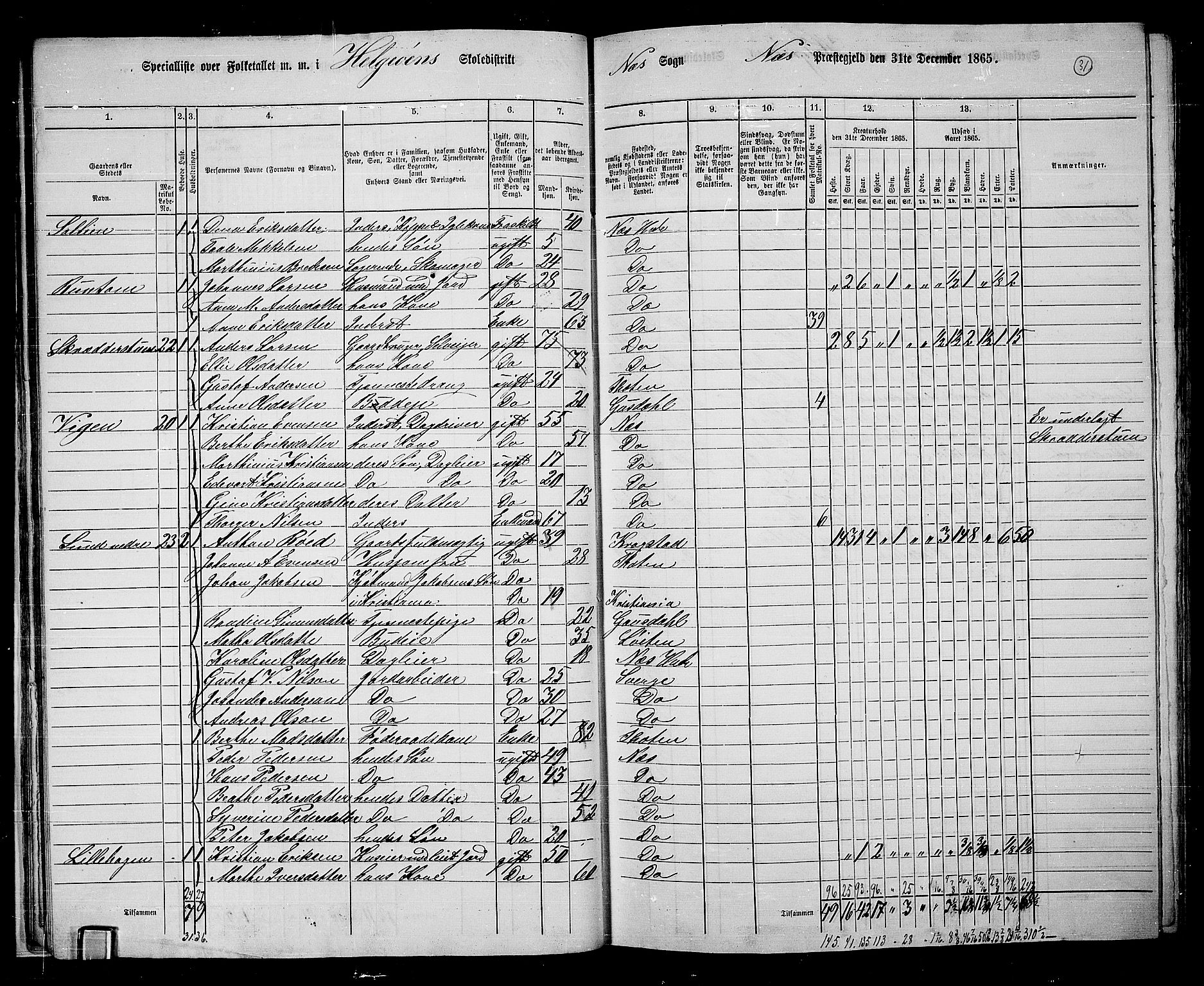 RA, 1865 census for Nes, 1865, p. 29