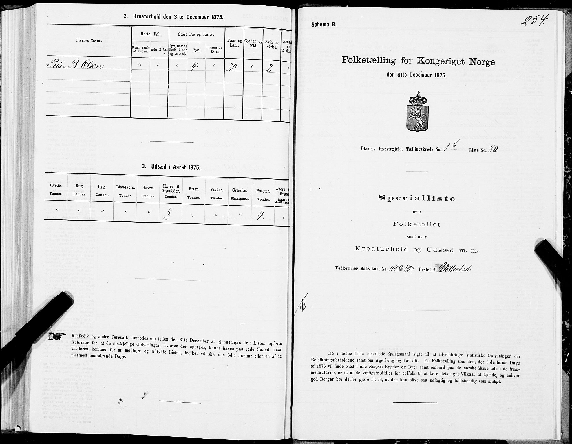 SAT, 1875 census for 1868P Øksnes, 1875, p. 1254