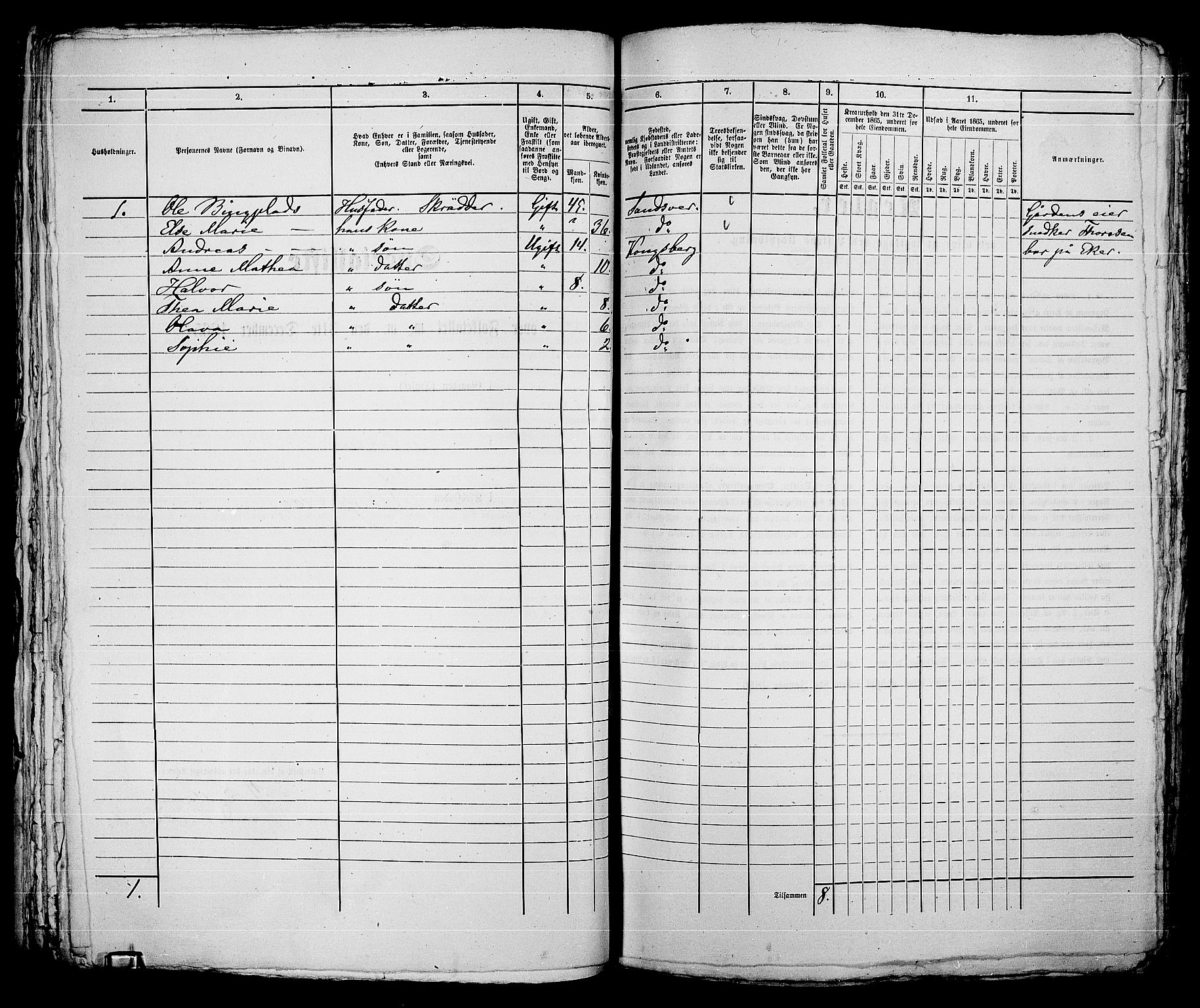 RA, 1865 census for Kongsberg/Kongsberg, 1865, p. 719