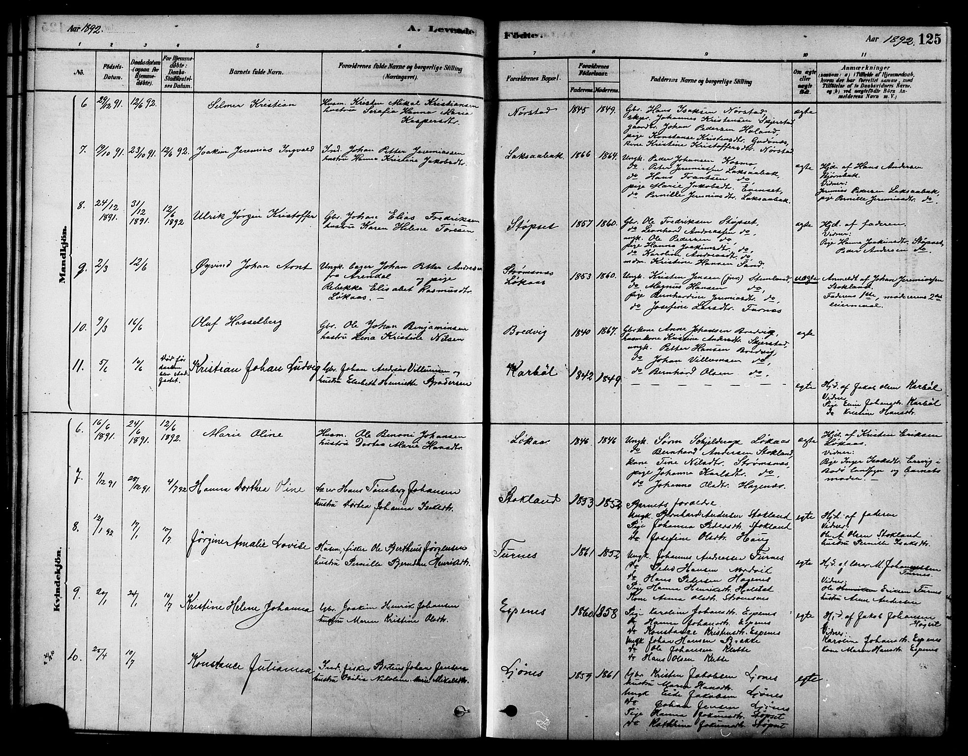 Ministerialprotokoller, klokkerbøker og fødselsregistre - Nordland, AV/SAT-A-1459/852/L0740: Parish register (official) no. 852A10, 1878-1894, p. 125