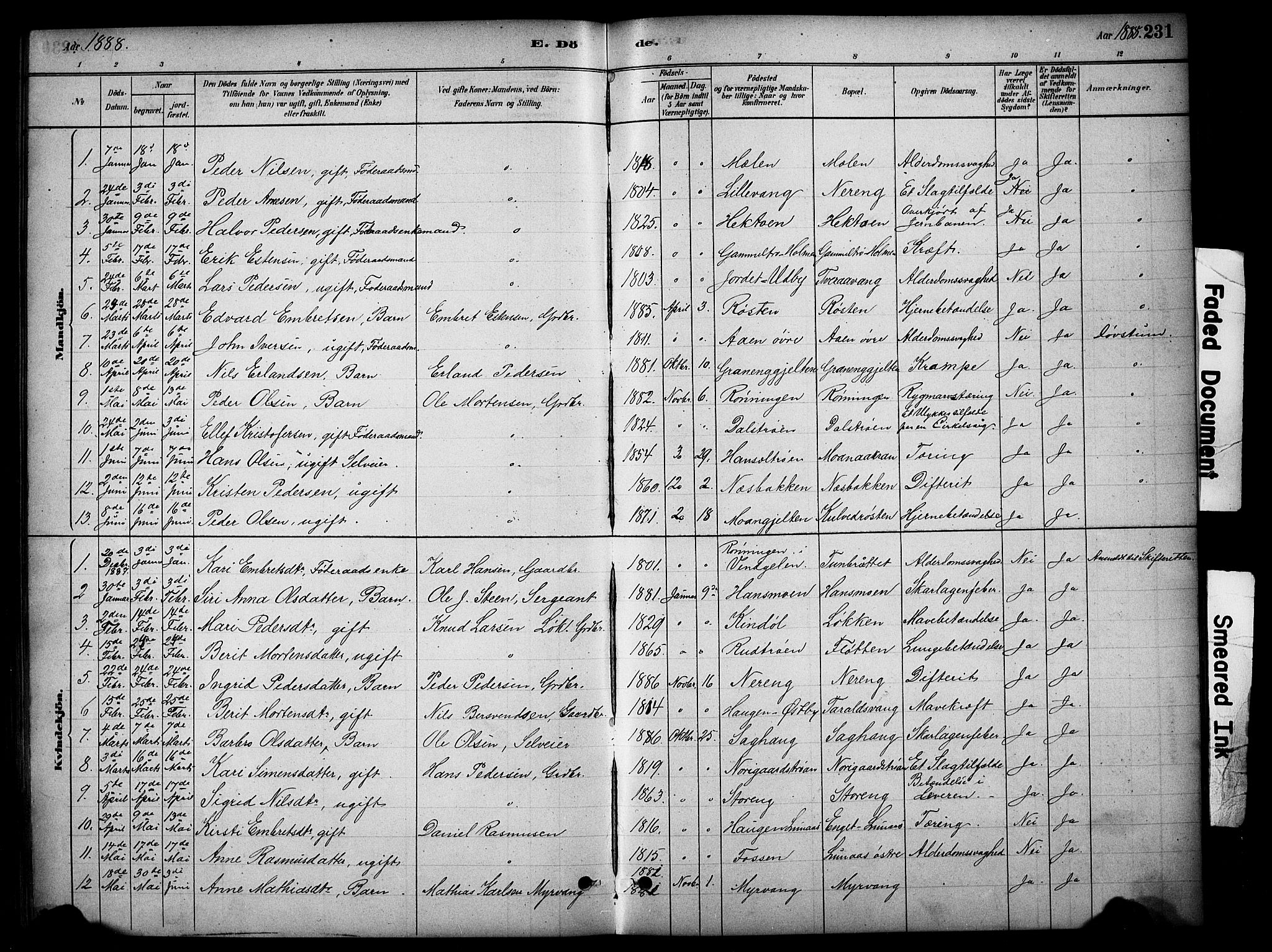 Tynset prestekontor, SAH/PREST-058/H/Ha/Hab/L0006: Parish register (copy) no. 6, 1880-1899, p. 231