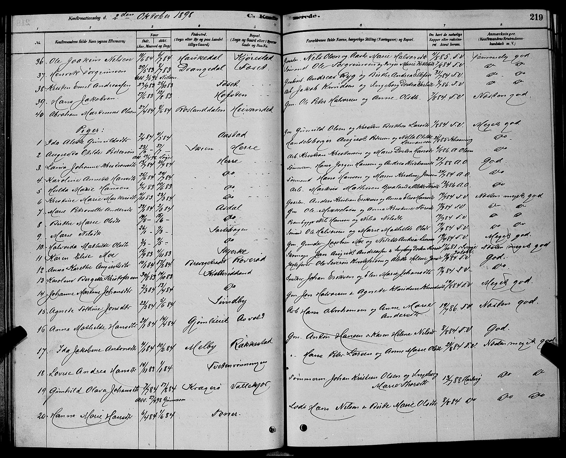 Bamble kirkebøker, AV/SAKO-A-253/G/Ga/L0008: Parish register (copy) no. I 8, 1878-1888, p. 219