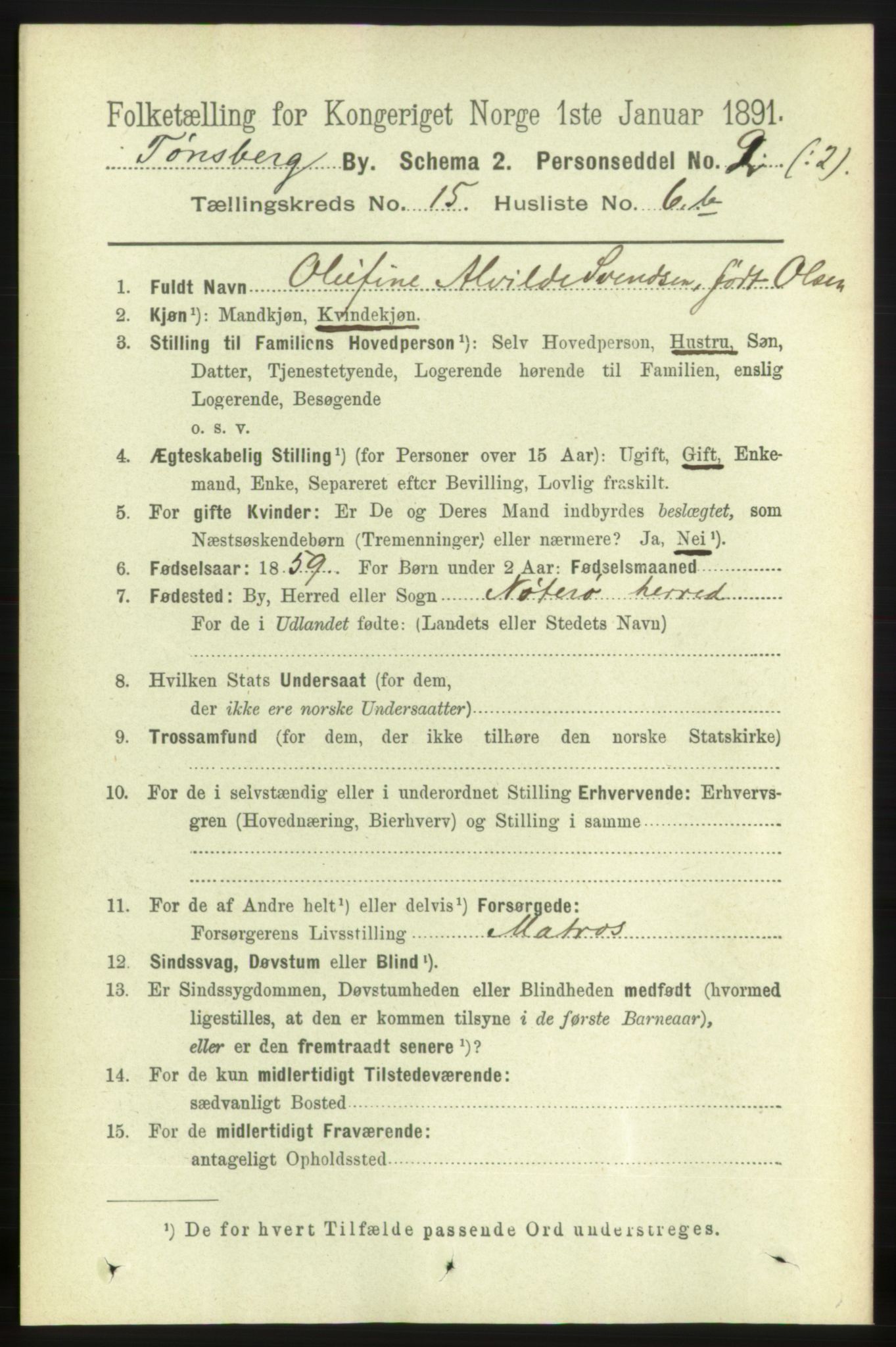 RA, 1891 census for 0705 Tønsberg, 1891, p. 4738