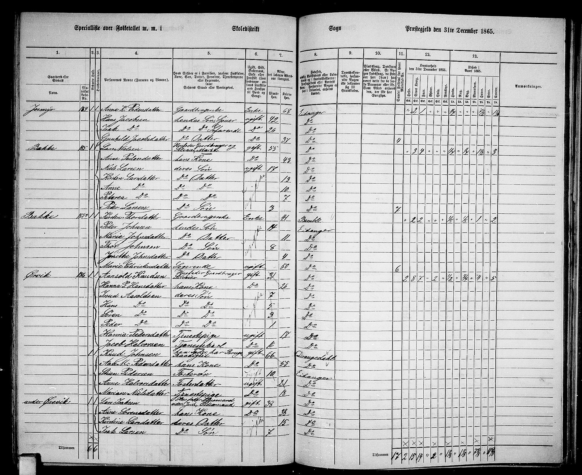RA, 1865 census for Eidanger, 1865, p. 88