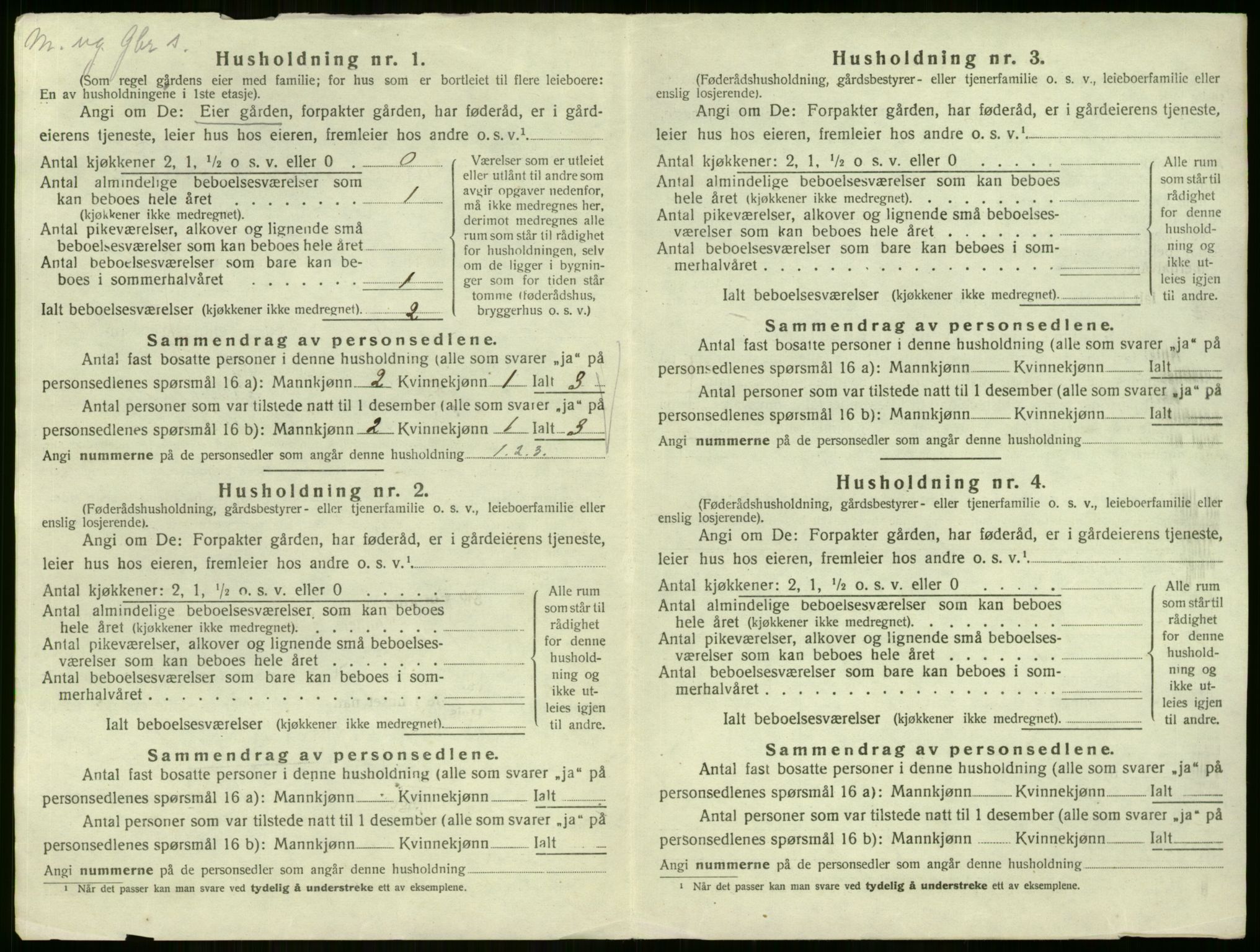 SAKO, 1920 census for Hemsedal, 1920, p. 32