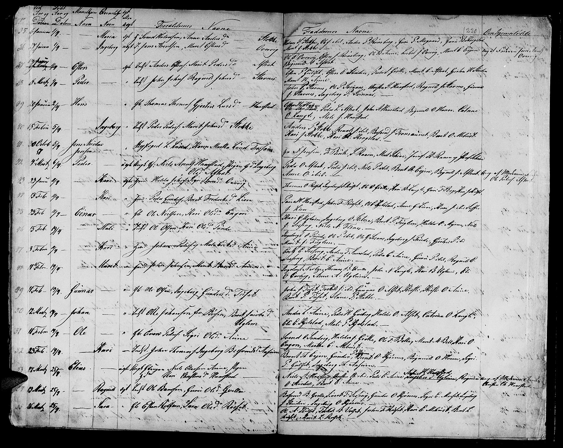 Ministerialprotokoller, klokkerbøker og fødselsregistre - Sør-Trøndelag, SAT/A-1456/695/L1154: Parish register (copy) no. 695C05, 1842-1858, p. 220