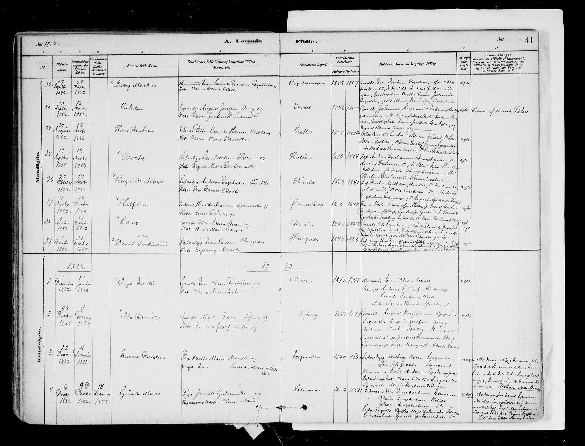 Hurdal prestekontor Kirkebøker, SAO/A-10889/F/Fa/L0007: Parish register (official) no. I 7, 1878-1906, p. 41