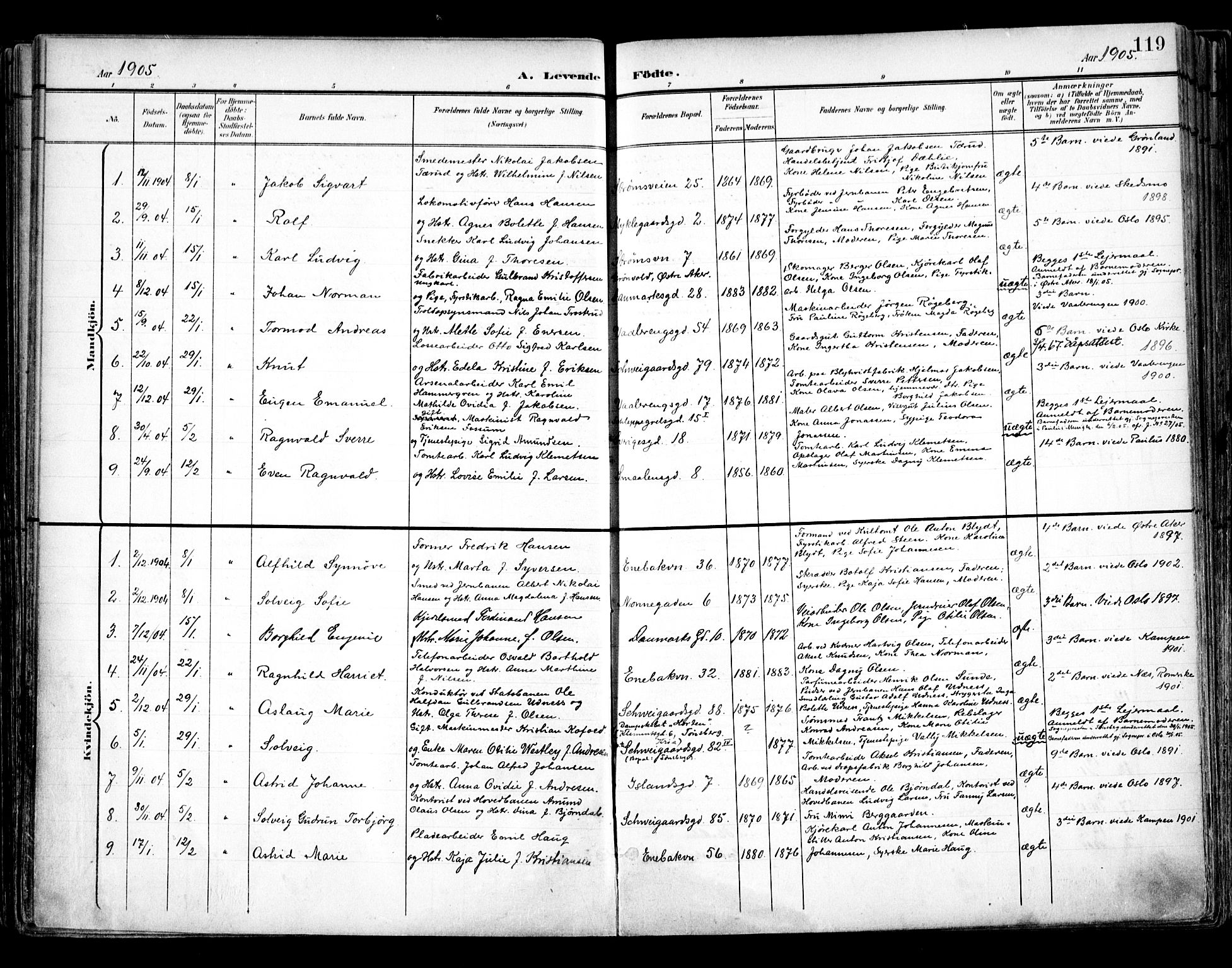 Vålerengen prestekontor Kirkebøker, SAO/A-10878/F/Fa/L0001: Parish register (official) no. 1, 1899-1915, p. 119