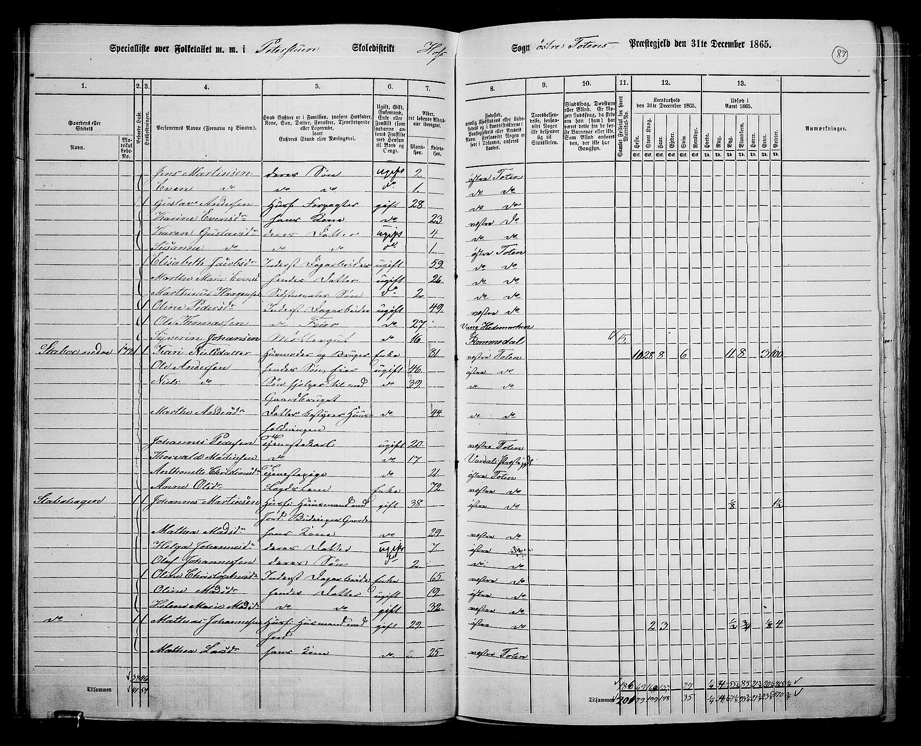 RA, 1865 census for Østre Toten, 1865, p. 208