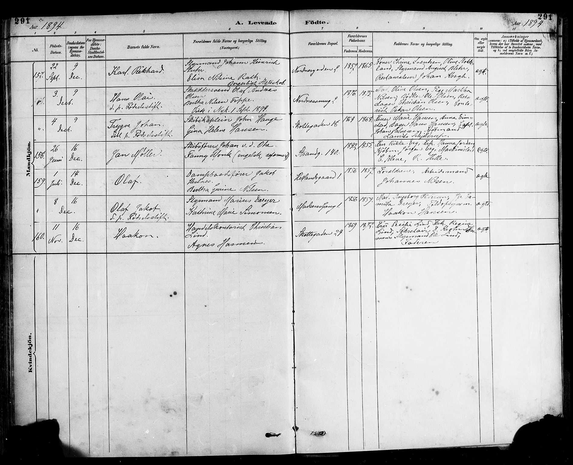 Nykirken Sokneprestembete, AV/SAB-A-77101/H/Haa: Parish register (official) no. B 5, 1885-1894, p. 291