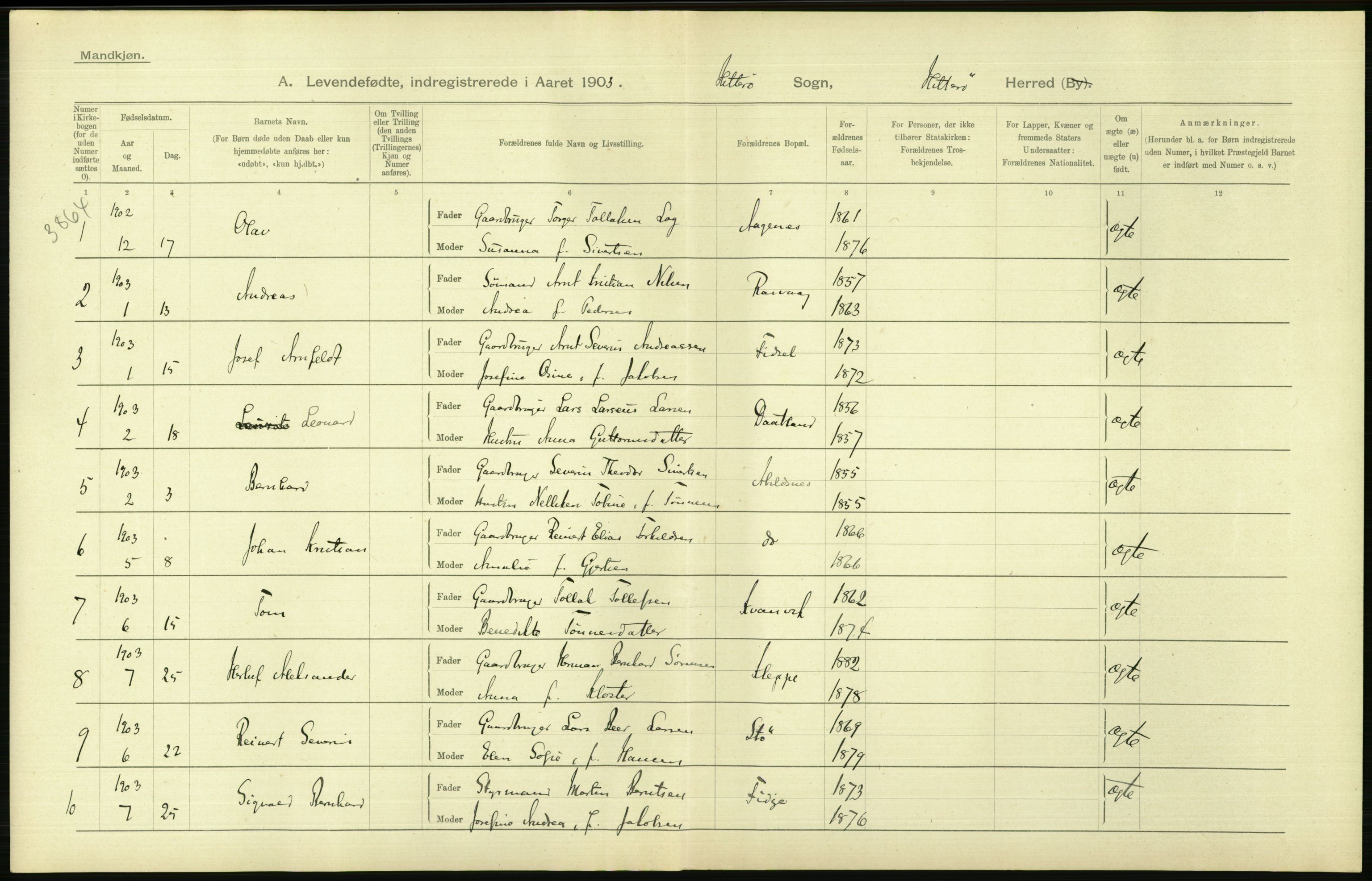 Statistisk sentralbyrå, Sosiodemografiske emner, Befolkning, AV/RA-S-2228/D/Df/Dfa/Dfaa/L0011: Lister og Mandal amt: Fødte, gifte, døde, 1903, p. 32