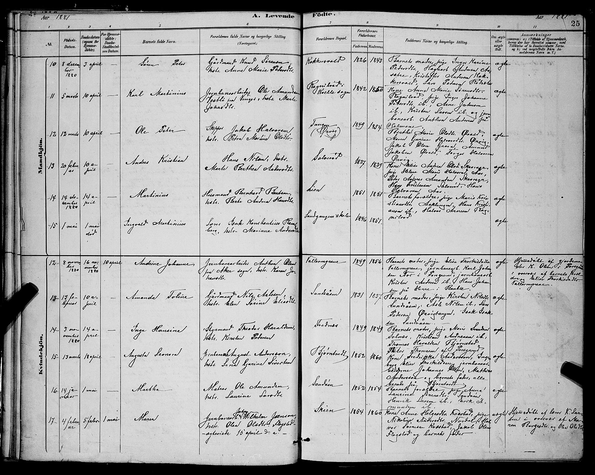 Eidanger kirkebøker, AV/SAKO-A-261/G/Ga/L0002: Parish register (copy) no. 2, 1879-1892, p. 25