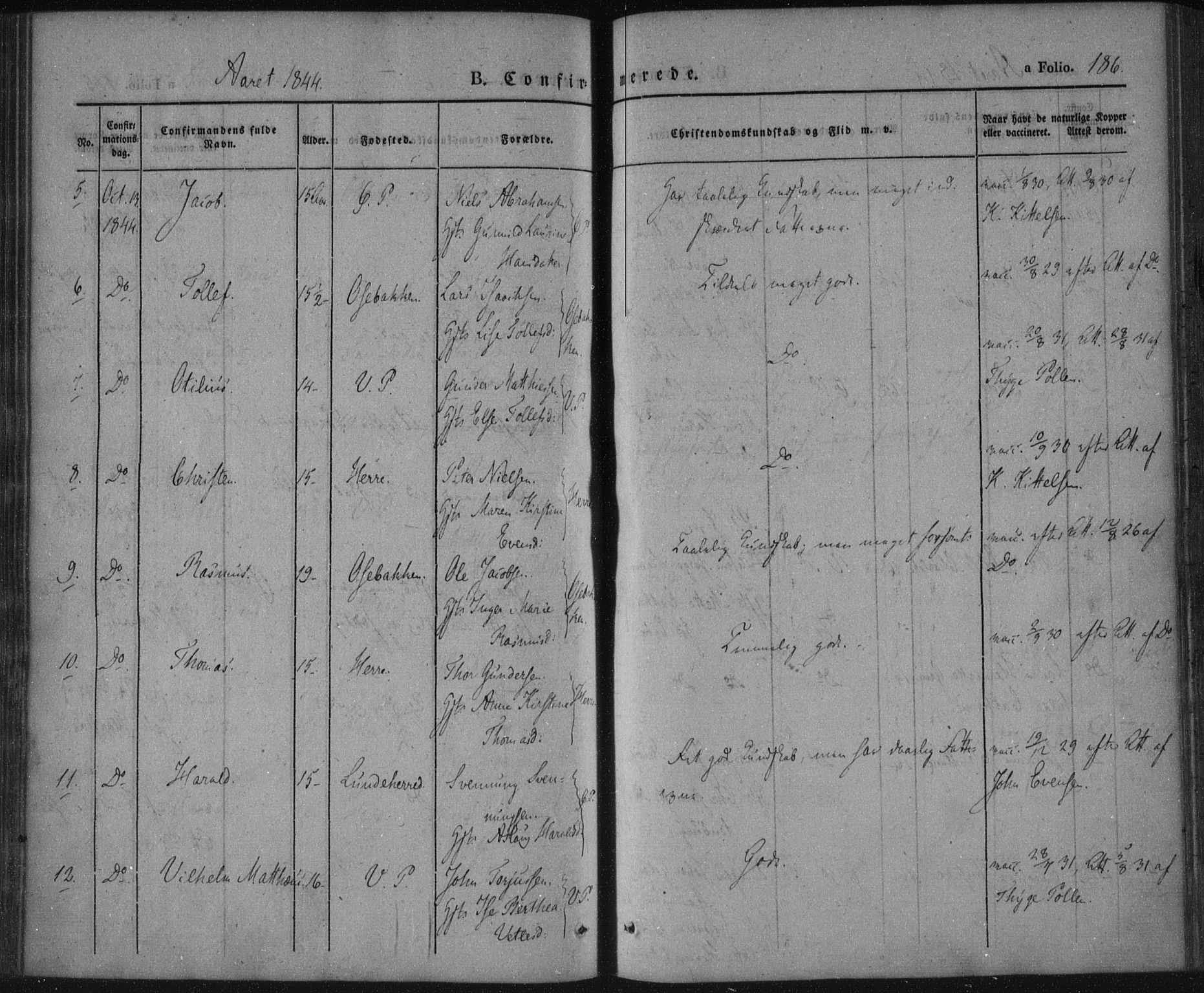 Porsgrunn kirkebøker , AV/SAKO-A-104/F/Fa/L0006: Parish register (official) no. 6, 1841-1857, p. 186