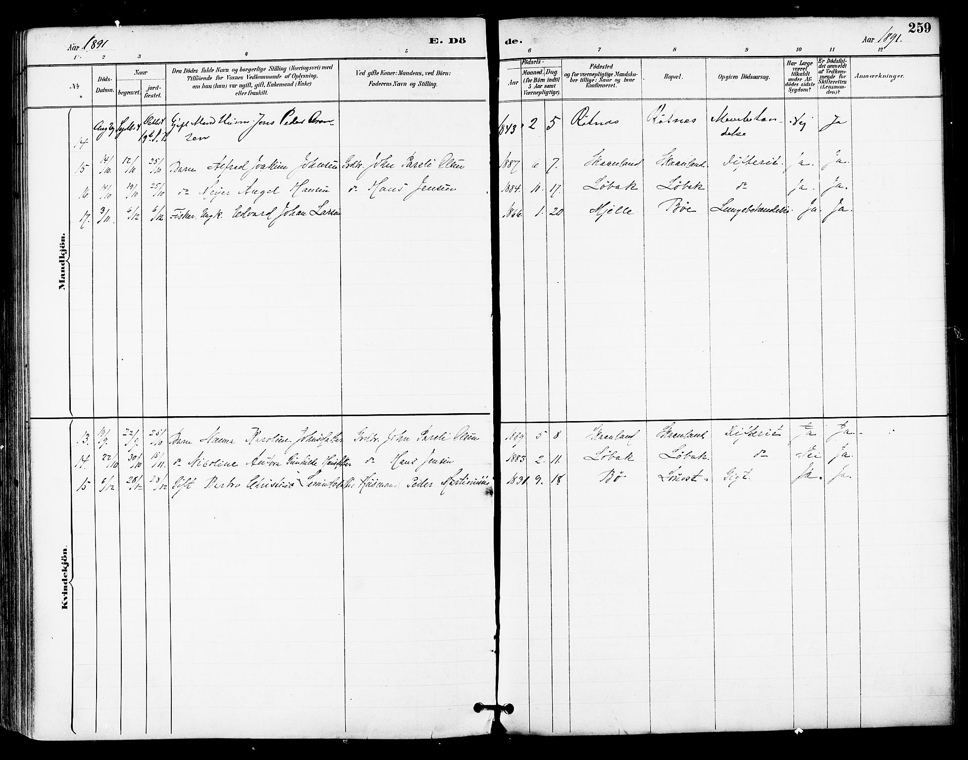 Ministerialprotokoller, klokkerbøker og fødselsregistre - Nordland, SAT/A-1459/855/L0803: Parish register (official) no. 855A11, 1887-1905, p. 259