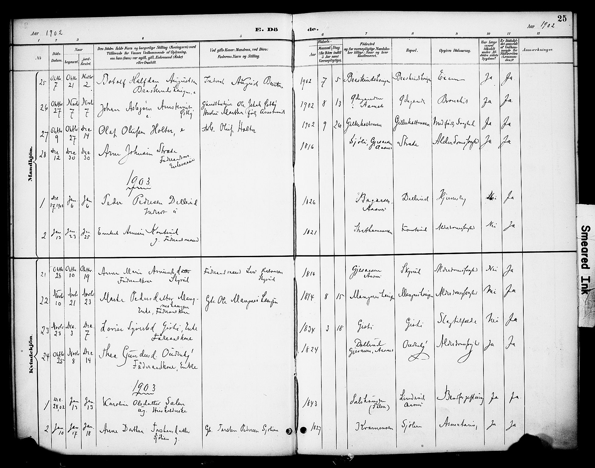 Våler prestekontor, Hedmark, AV/SAH-PREST-040/H/Ha/Haa/L0006: Parish register (official) no. 6, 1894-1908, p. 25