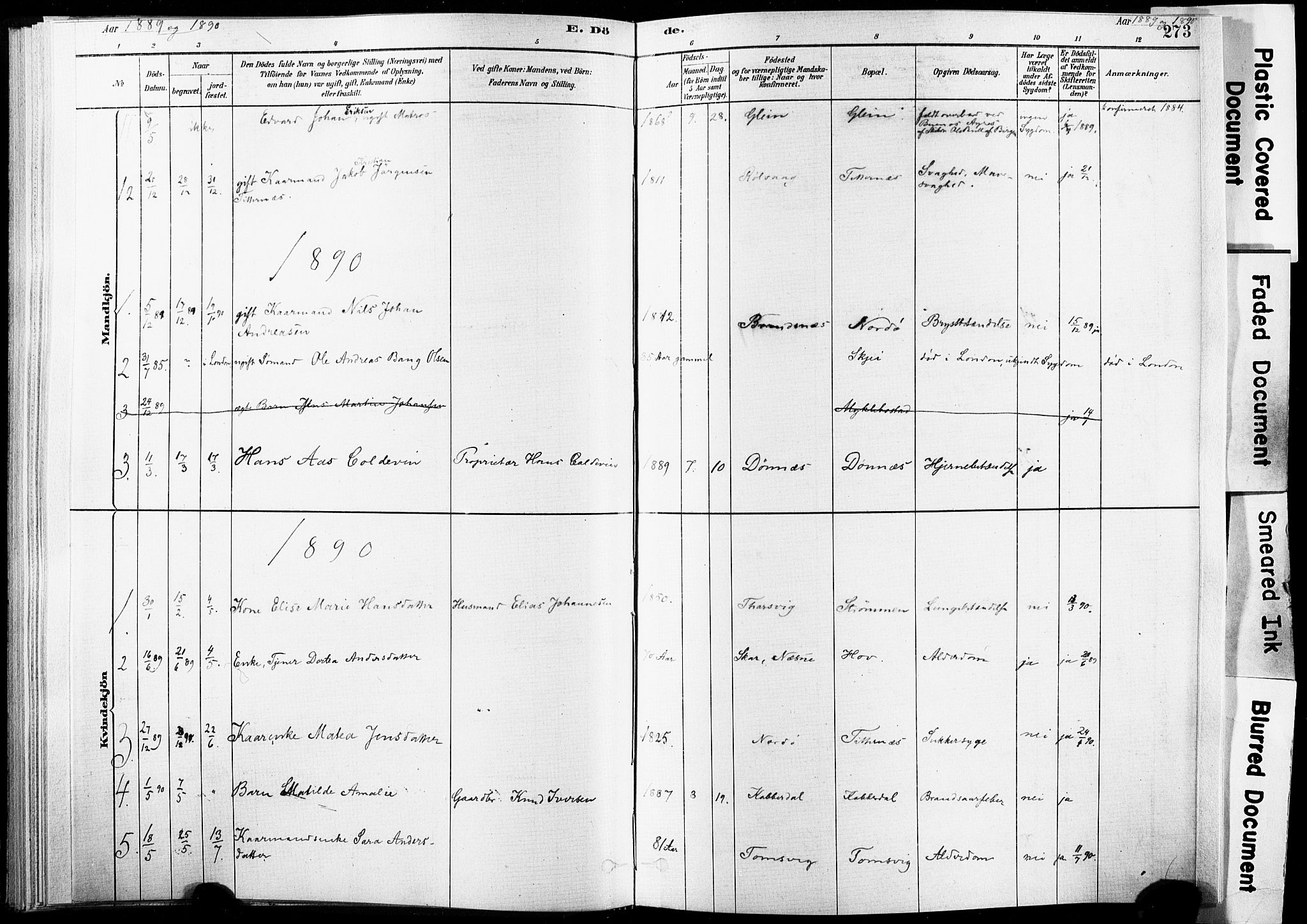 Ministerialprotokoller, klokkerbøker og fødselsregistre - Nordland, AV/SAT-A-1459/835/L0526: Parish register (official) no. 835A03II, 1881-1910, p. 273