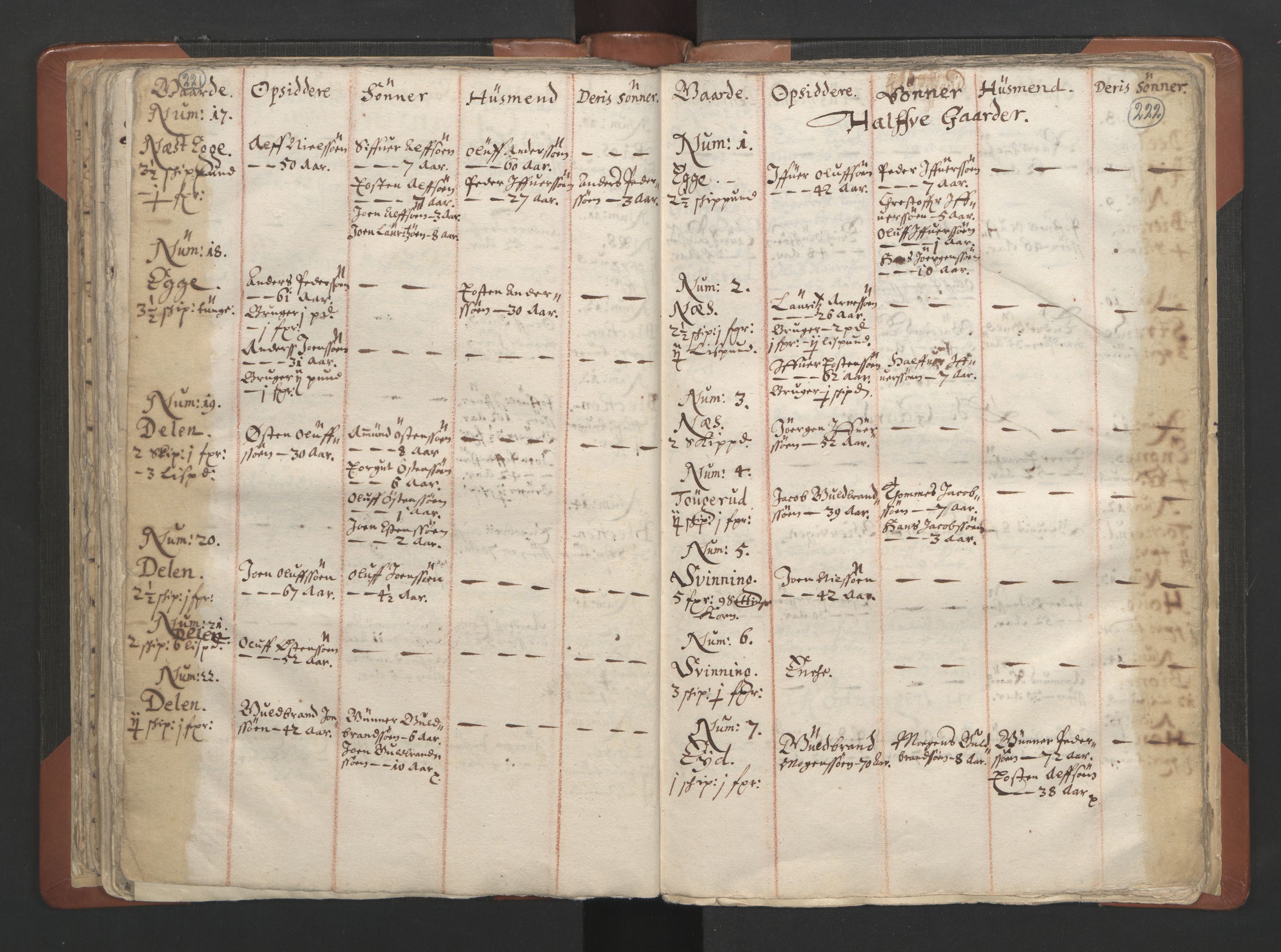 RA, Vicar's Census 1664-1666, no. 7: Hadeland deanery, 1664-1666, p. 221-222