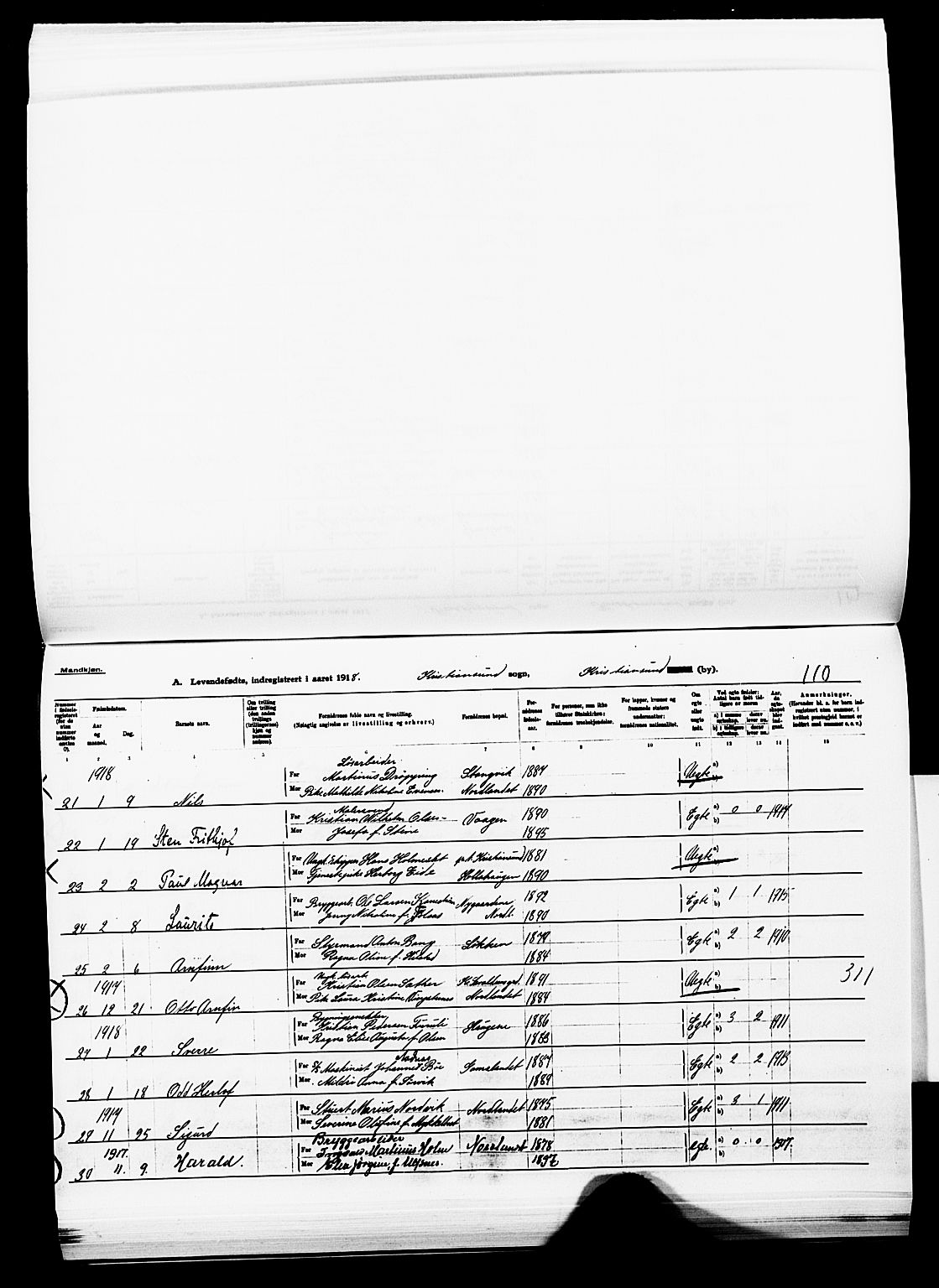 Ministerialprotokoller, klokkerbøker og fødselsregistre - Møre og Romsdal, AV/SAT-A-1454/572/L0861: Parish register (official) no. 572D05, 1913-1920