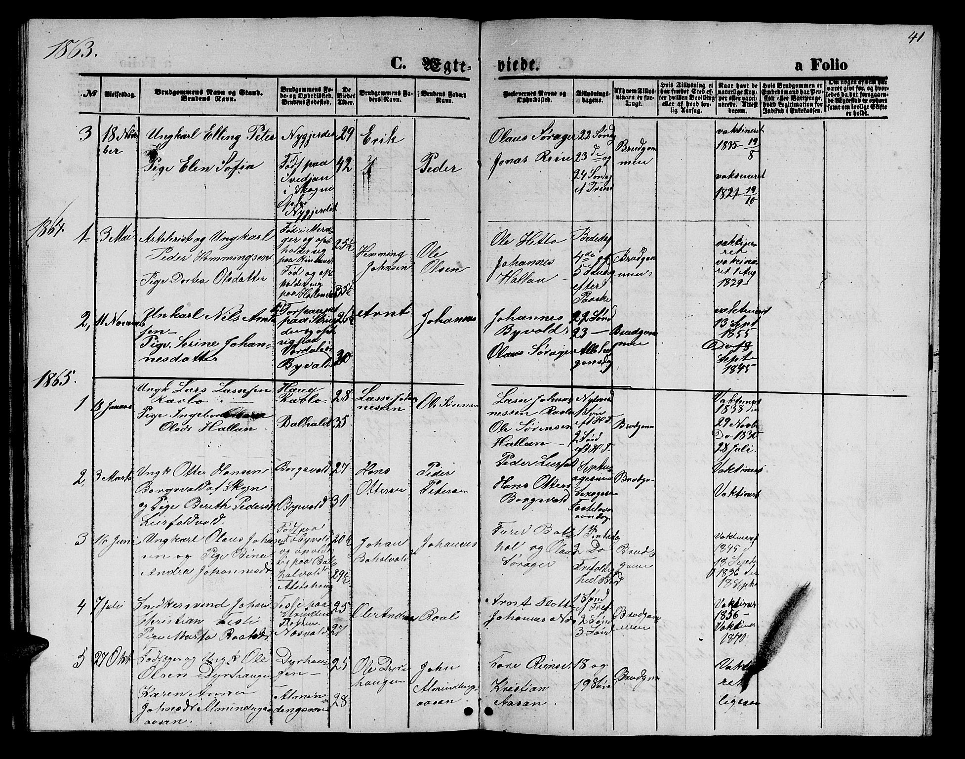 Ministerialprotokoller, klokkerbøker og fødselsregistre - Nord-Trøndelag, AV/SAT-A-1458/726/L0270: Parish register (copy) no. 726C01, 1858-1868, p. 41