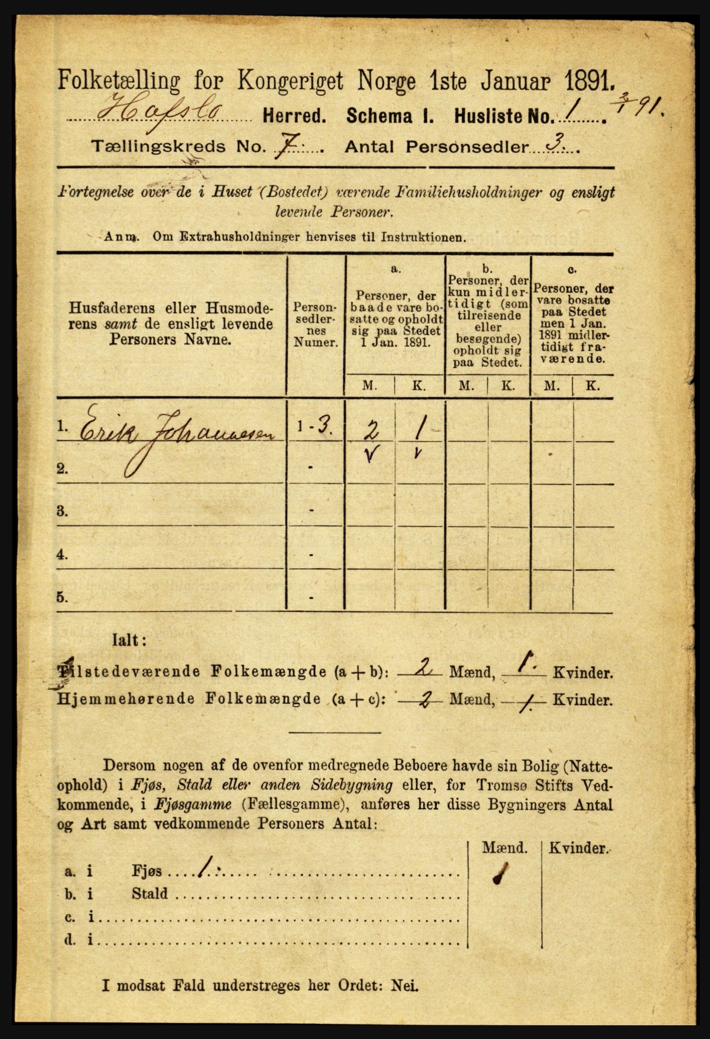 RA, 1891 census for 1425 Hafslo, 1891, p. 2667