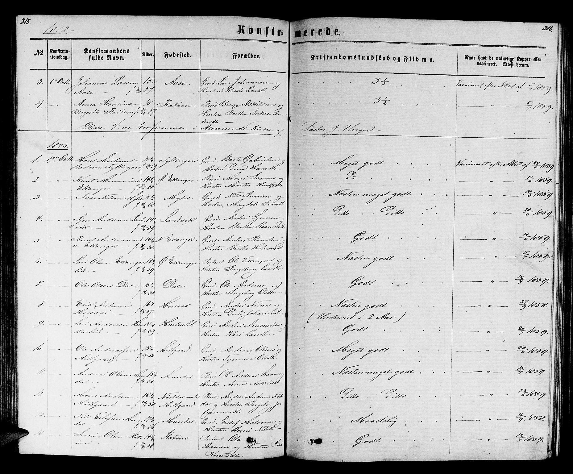 Hamre sokneprestembete, SAB/A-75501/H/Ha/Hab: Parish register (copy) no. B 2, 1863-1880, p. 315-316