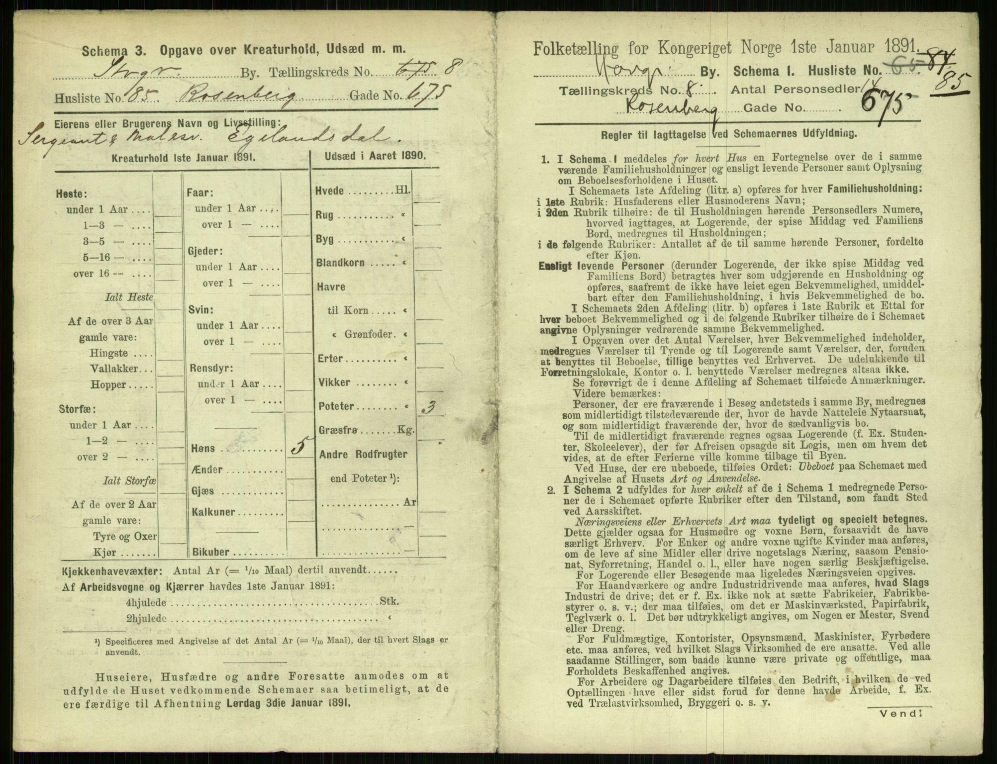 RA, 1891 census for 1103 Stavanger, 1891, p. 1657