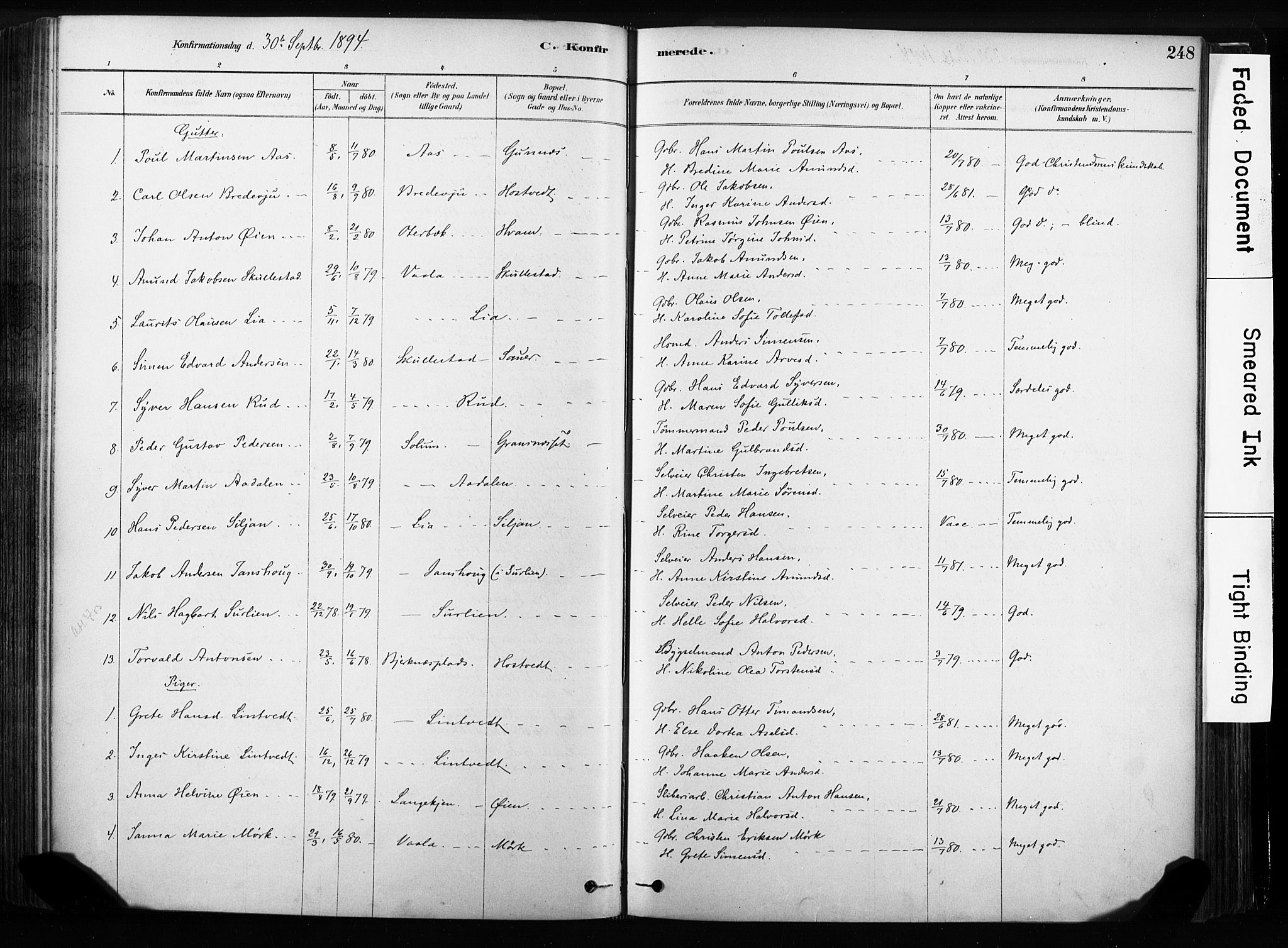 Sandsvær kirkebøker, SAKO/A-244/F/Fb/L0001: Parish register (official) no. II 1, 1878-1906, p. 248