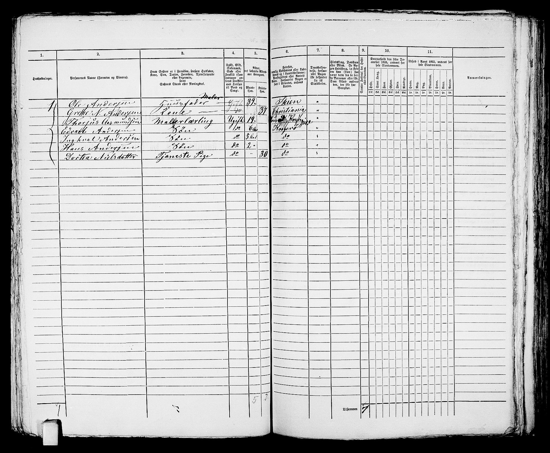 RA, 1865 census for Kragerø/Kragerø, 1865, p. 325