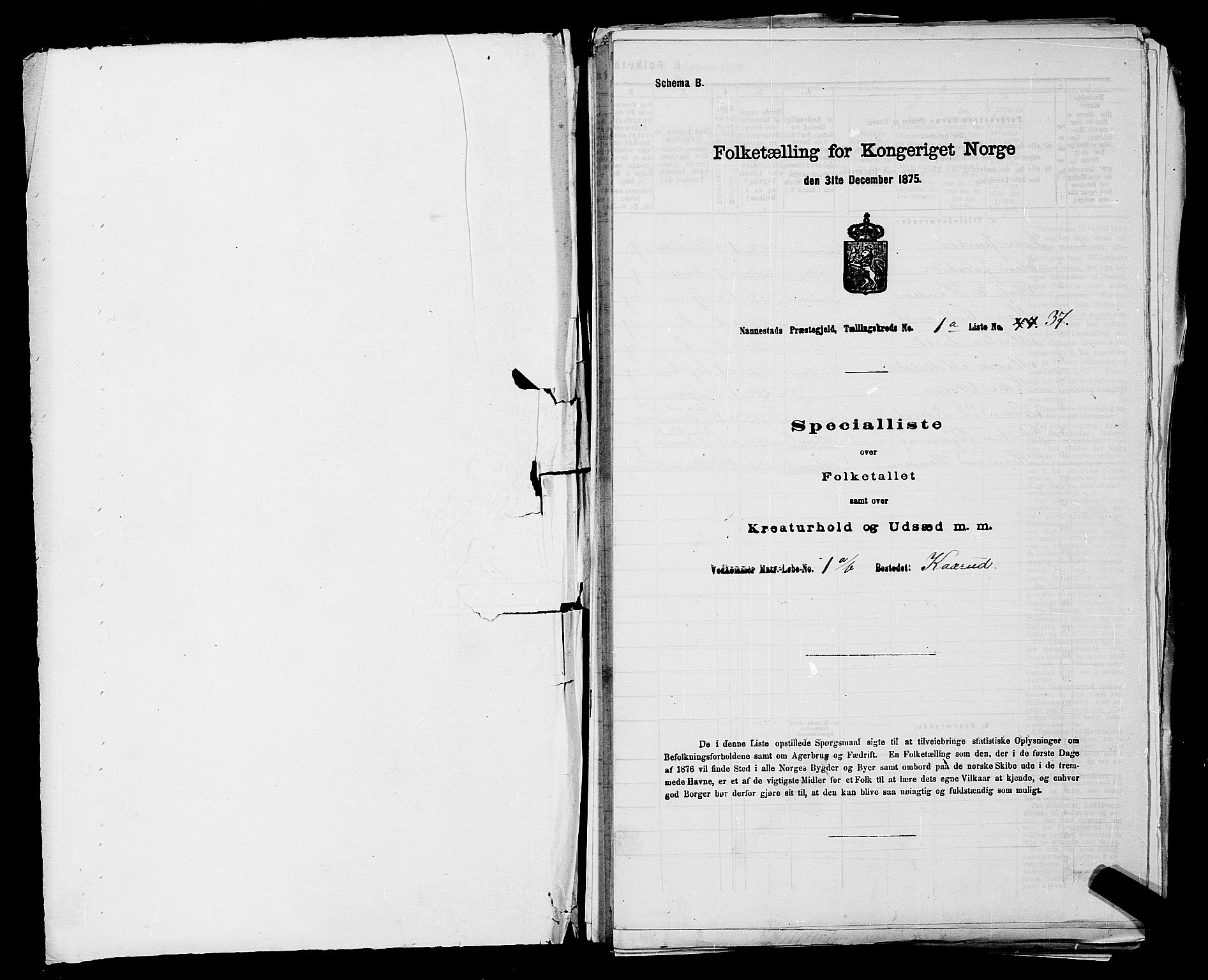 RA, 1875 census for 0238P Nannestad, 1875, p. 37