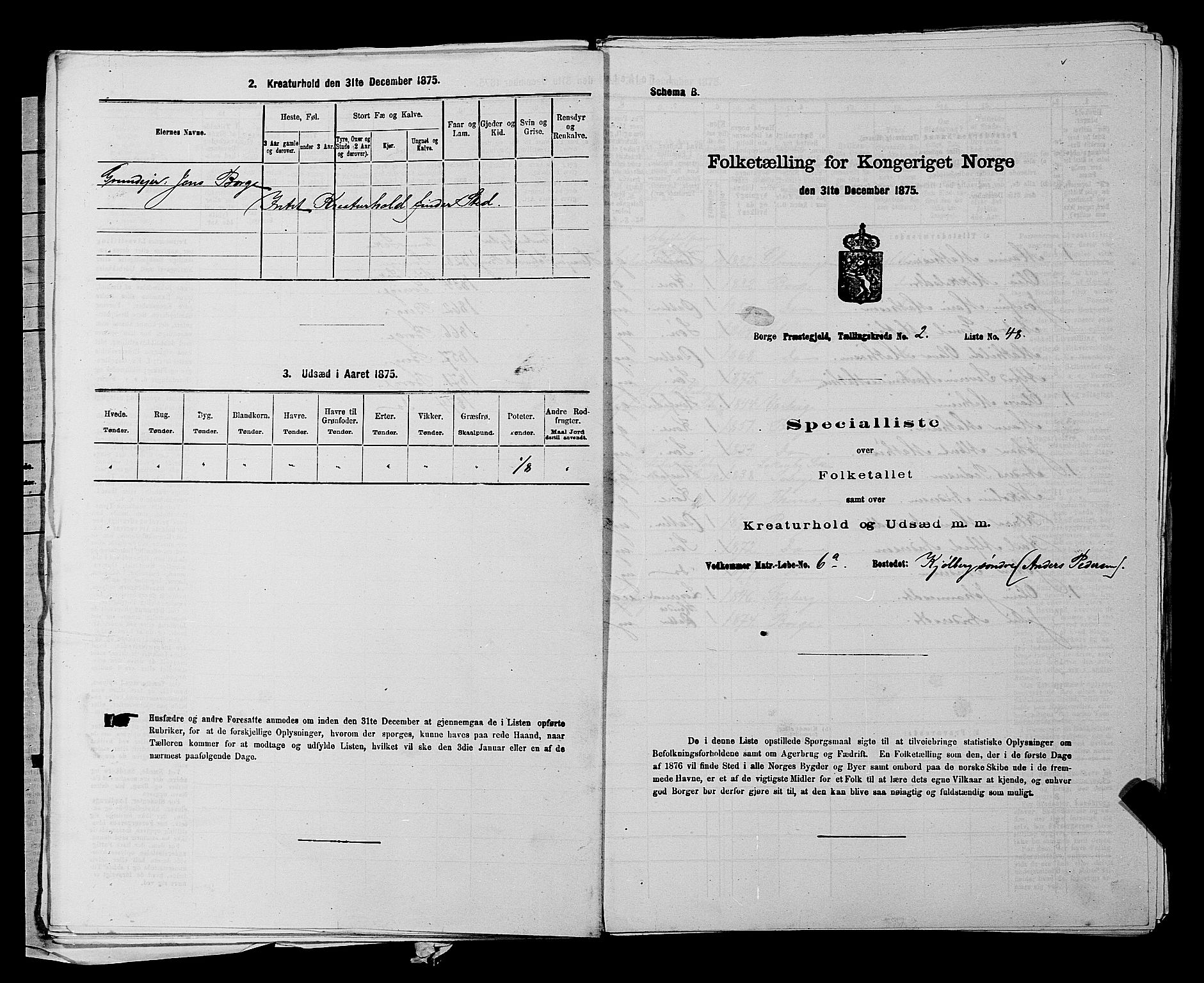 RA, 1875 census for 0113P Borge, 1875, p. 216