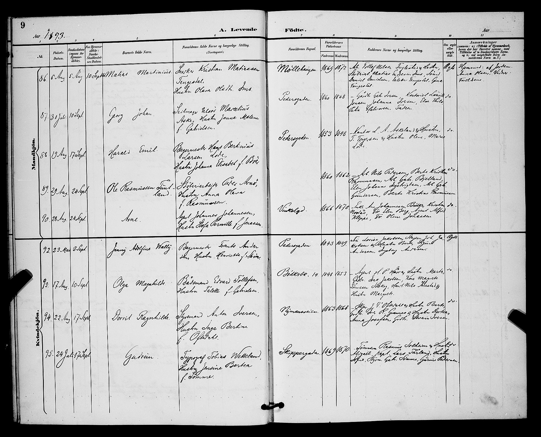 St. Johannes sokneprestkontor, AV/SAST-A-101814/001/30/30BB/L0003: Parish register (copy) no. B 3, 1893-1900, p. 9