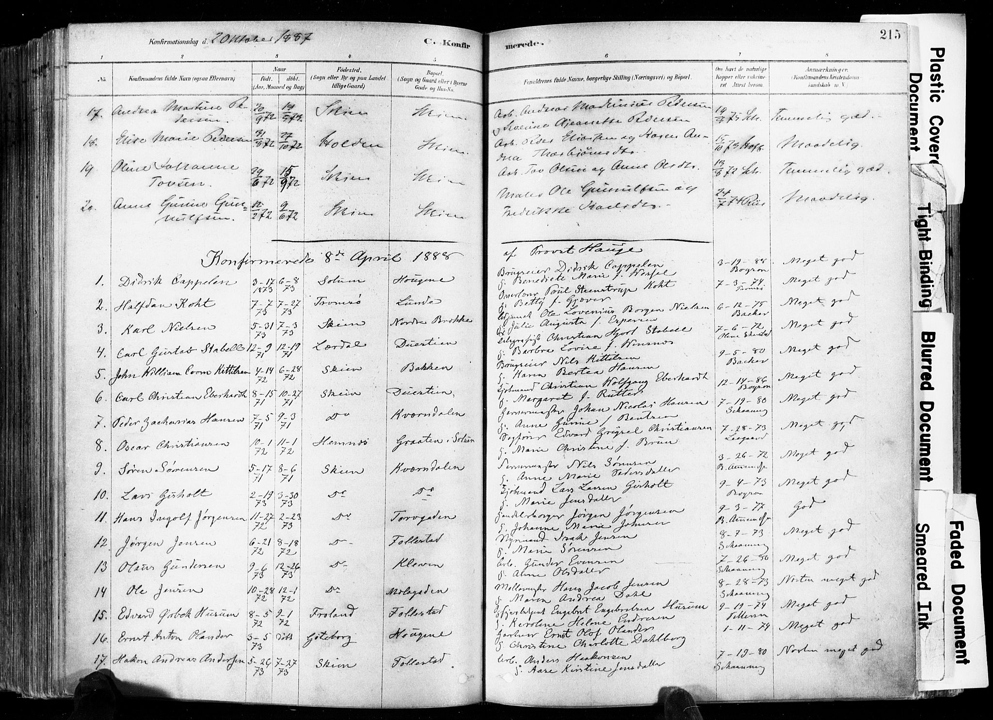 Skien kirkebøker, SAKO/A-302/F/Fa/L0009: Parish register (official) no. 9, 1878-1890, p. 215