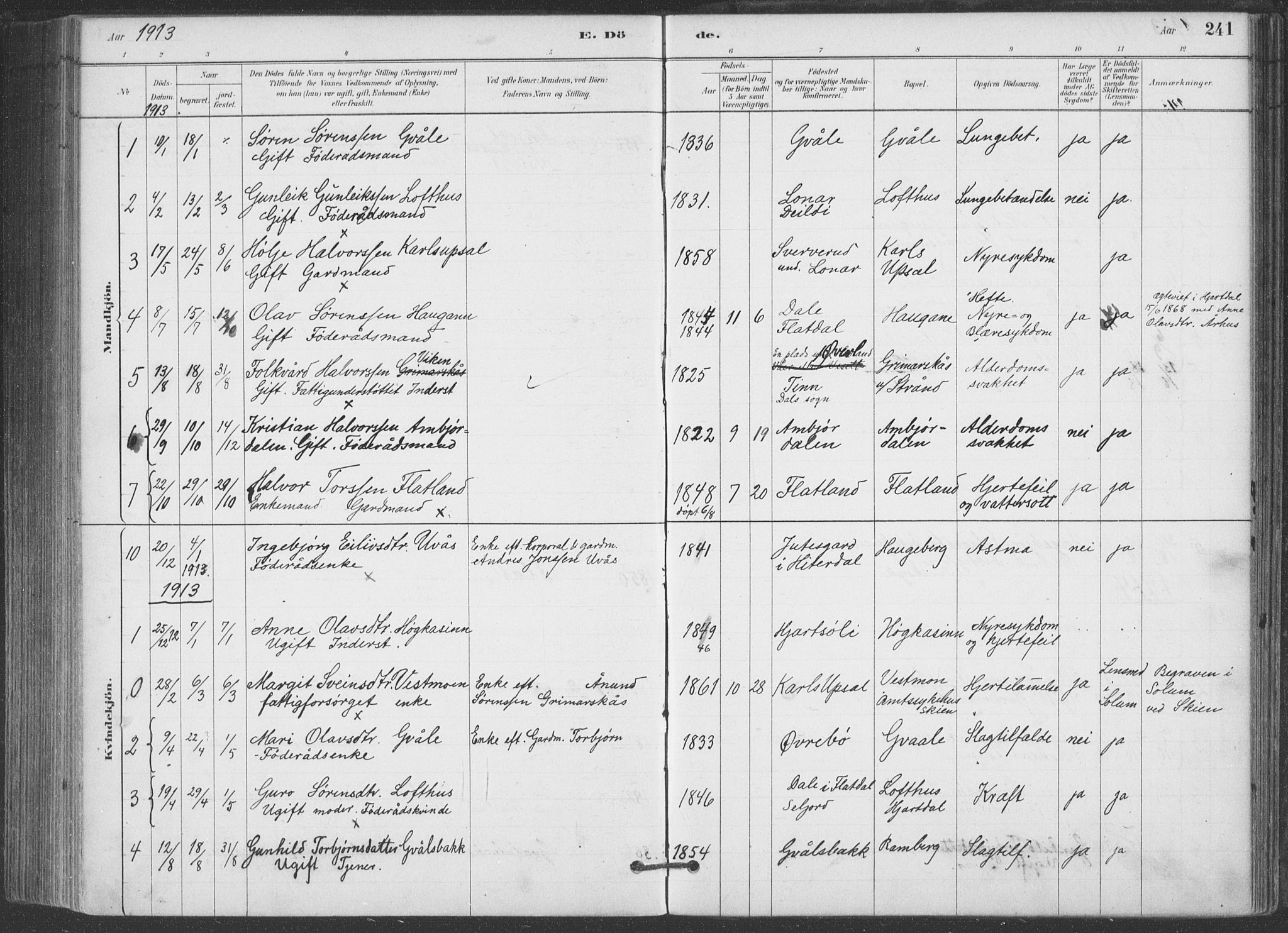 Hjartdal kirkebøker, SAKO/A-270/F/Fa/L0010: Parish register (official) no. I 10, 1880-1929, p. 241