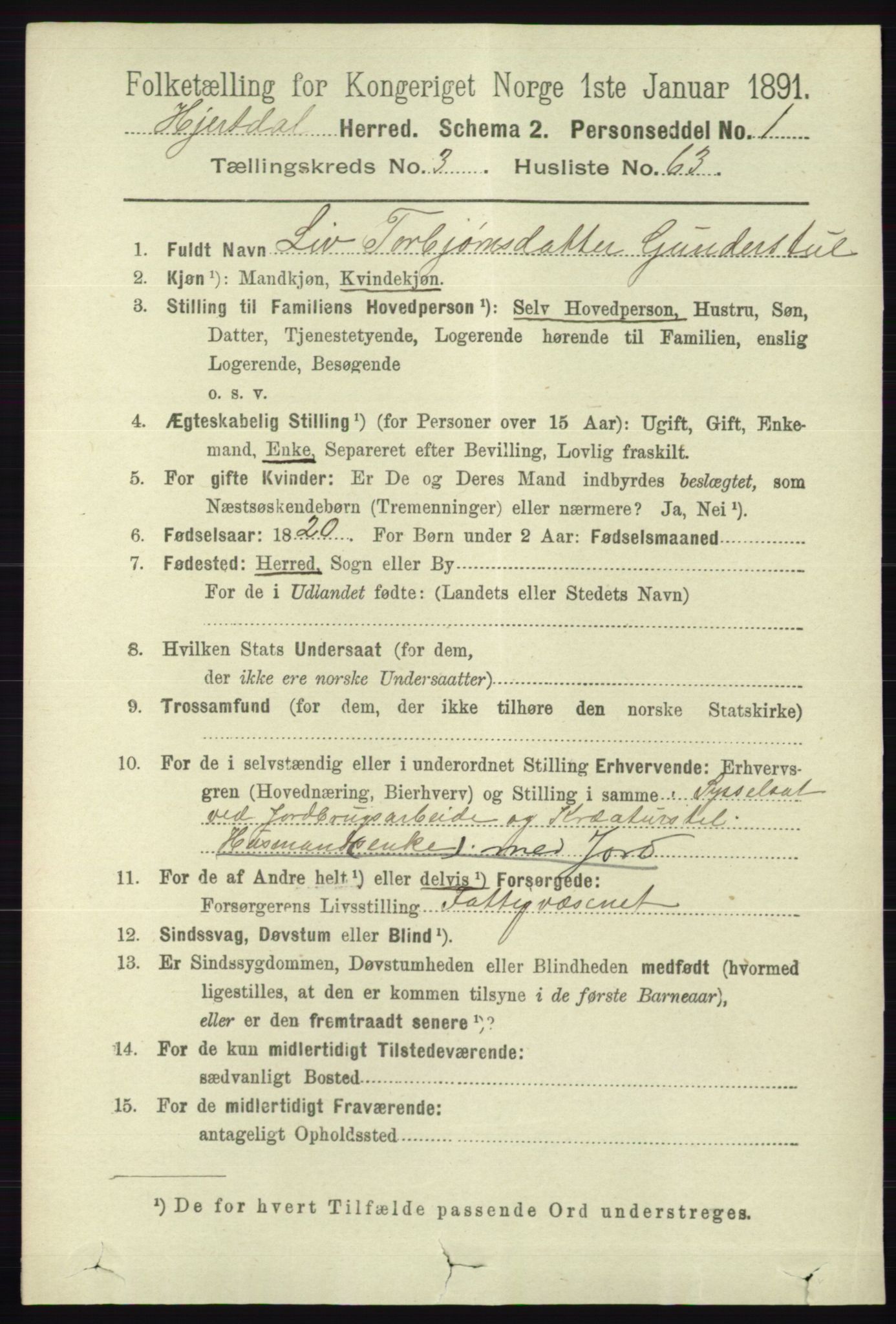 RA, 1891 census for 0827 Hjartdal, 1891, p. 1327